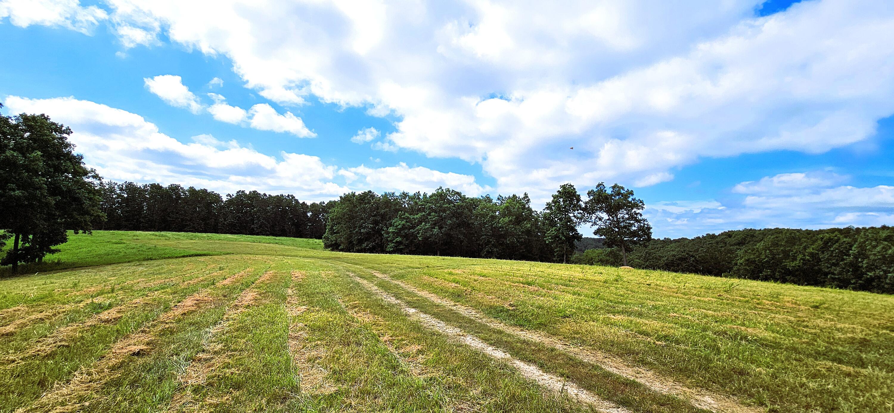 2378 State Highway Ab Property Photo 66
