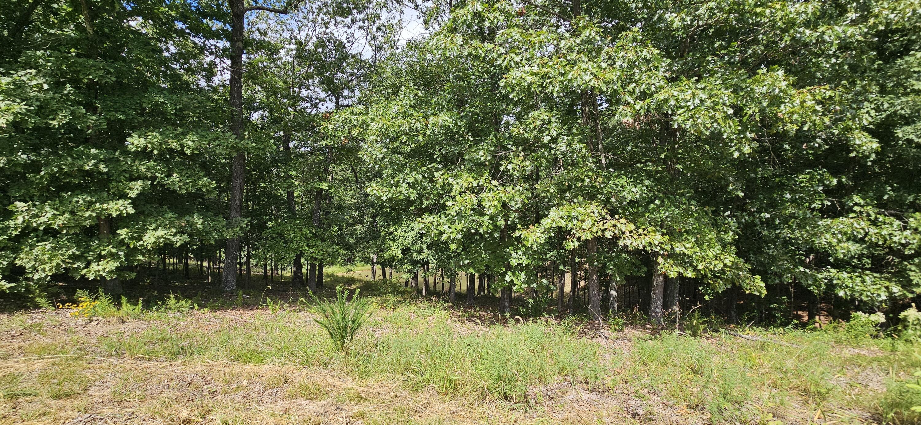 2378 State Highway Ab Property Photo 70