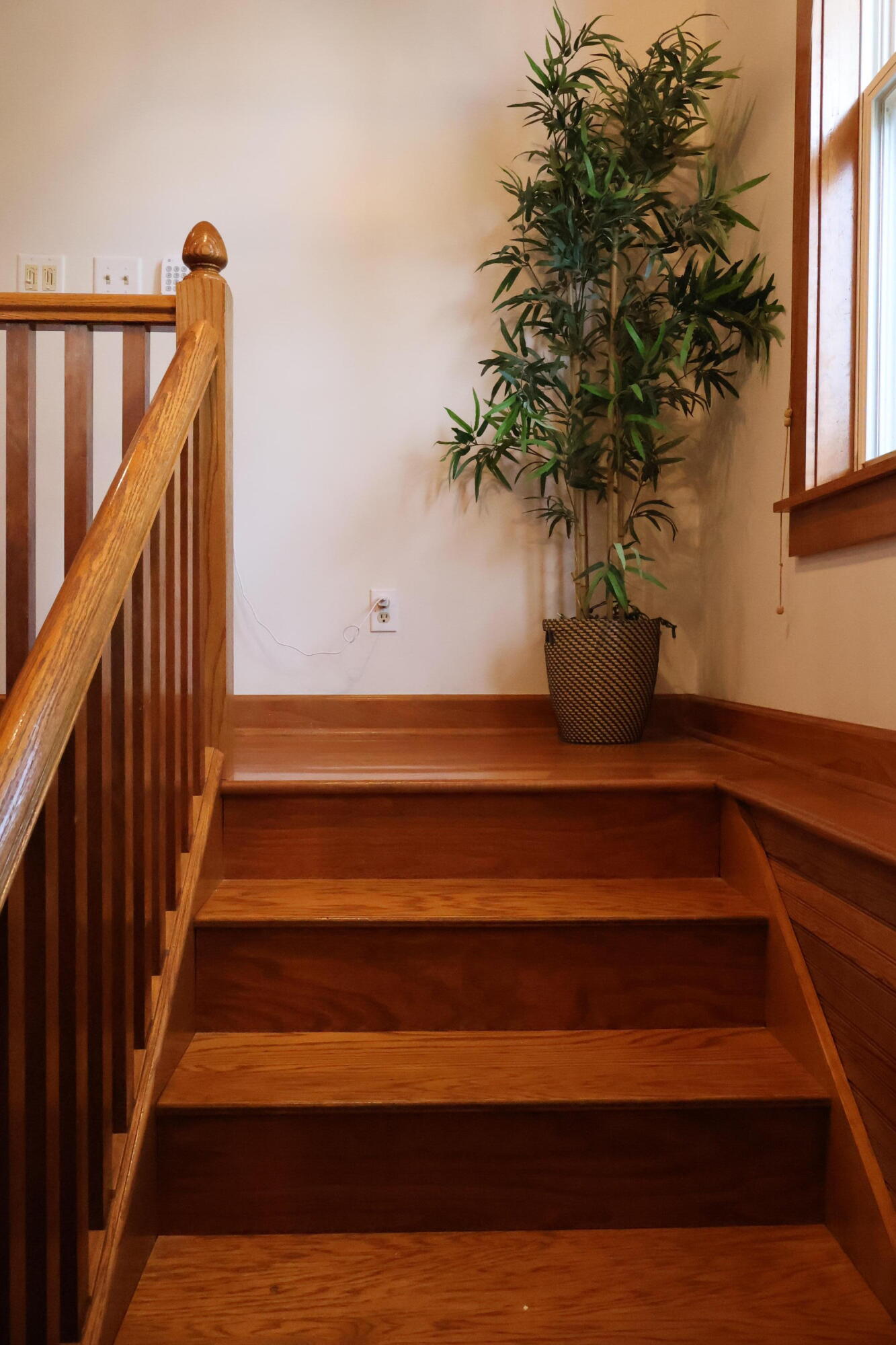 9135 State Highway Z Property Photo 56