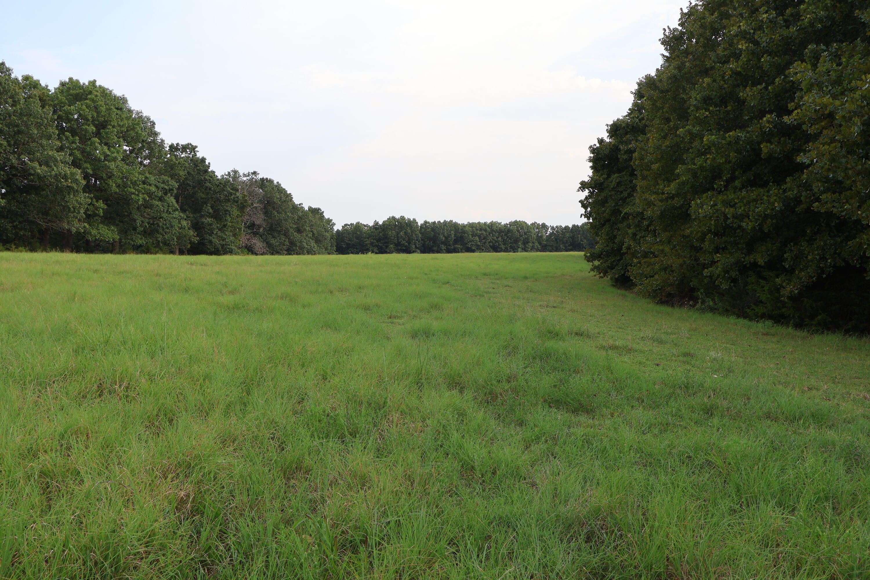 9135 State Highway Z Property Photo 98