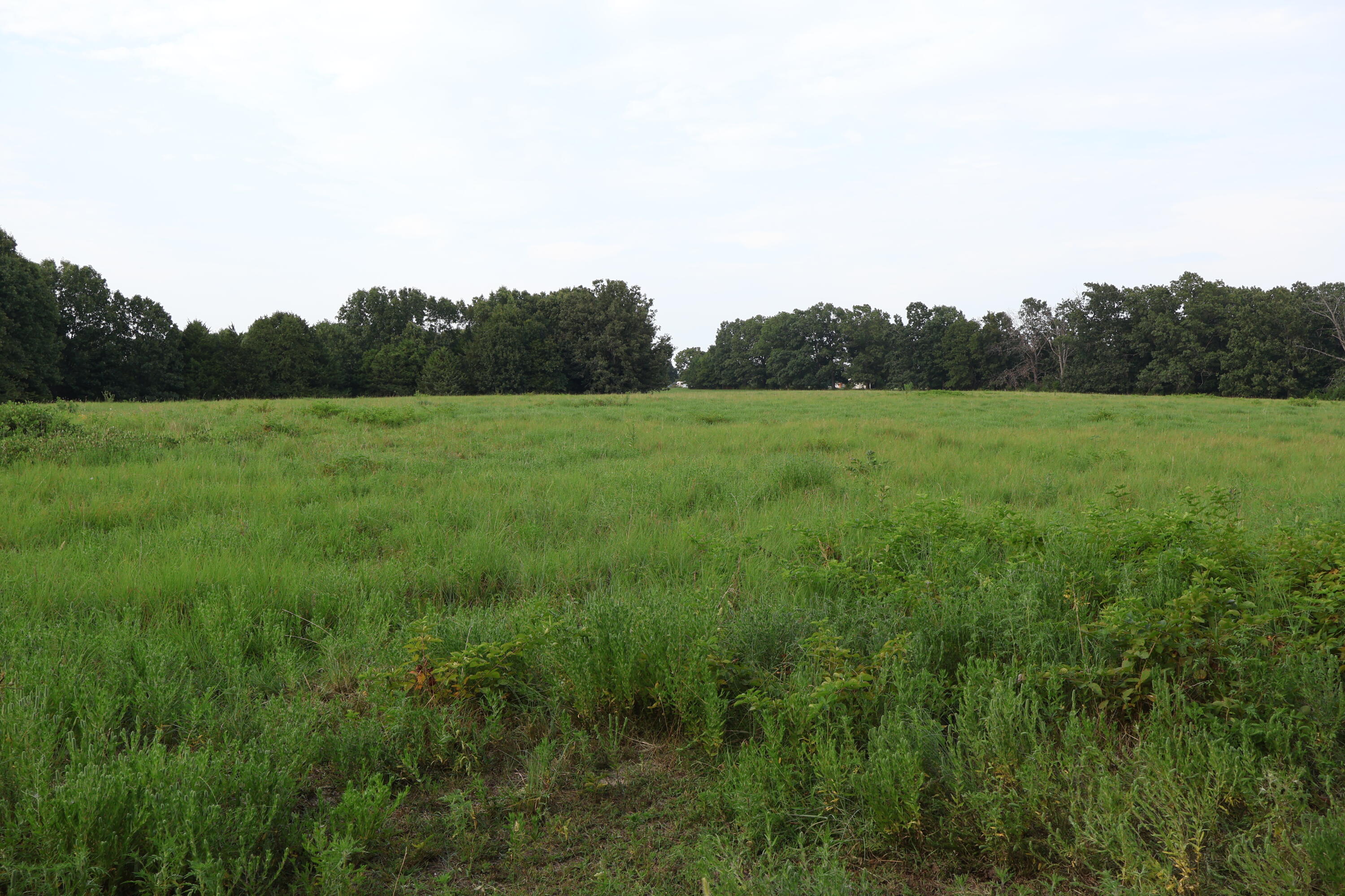 9135 State Highway Z Property Photo 100