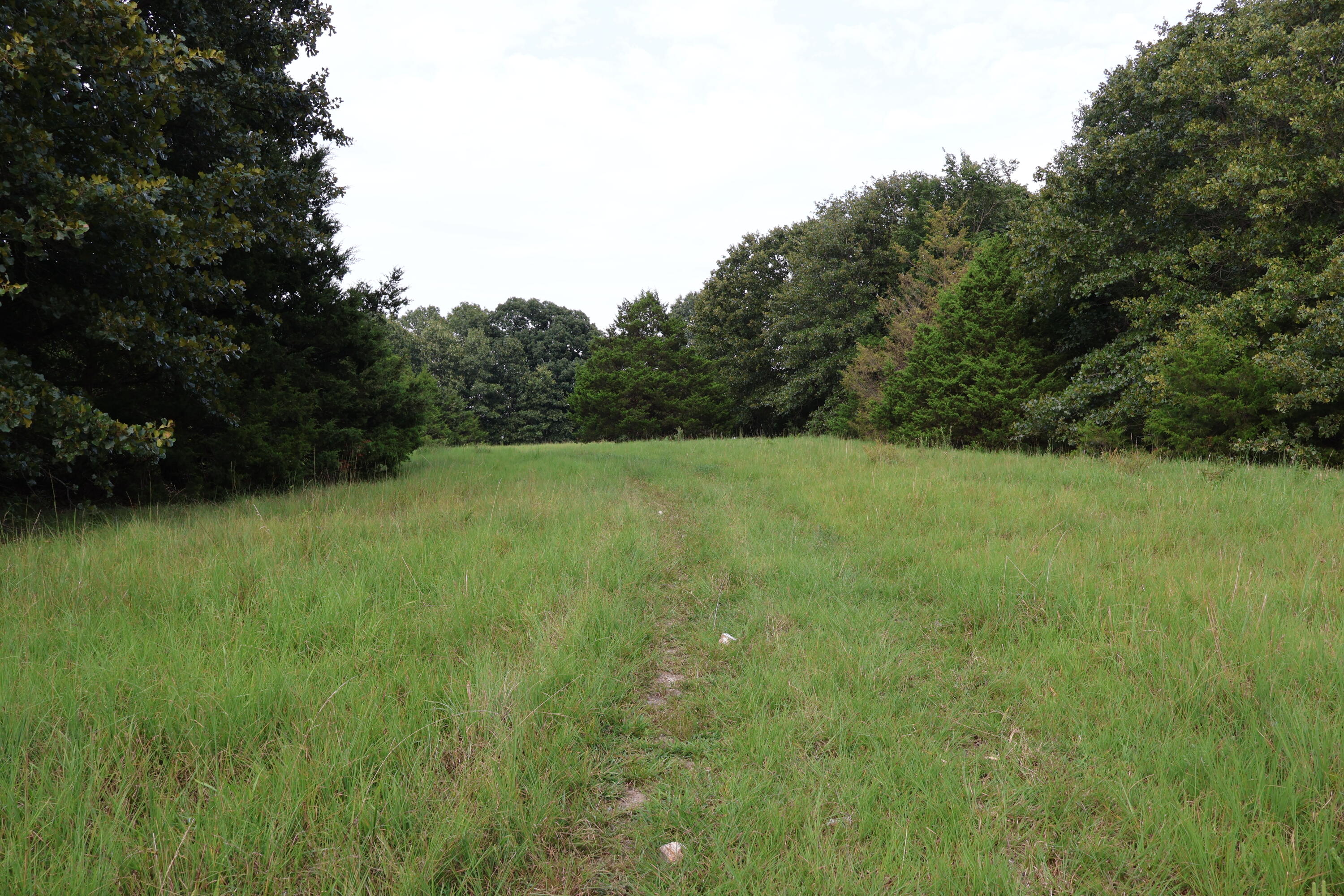 9135 State Highway Z Property Photo 112