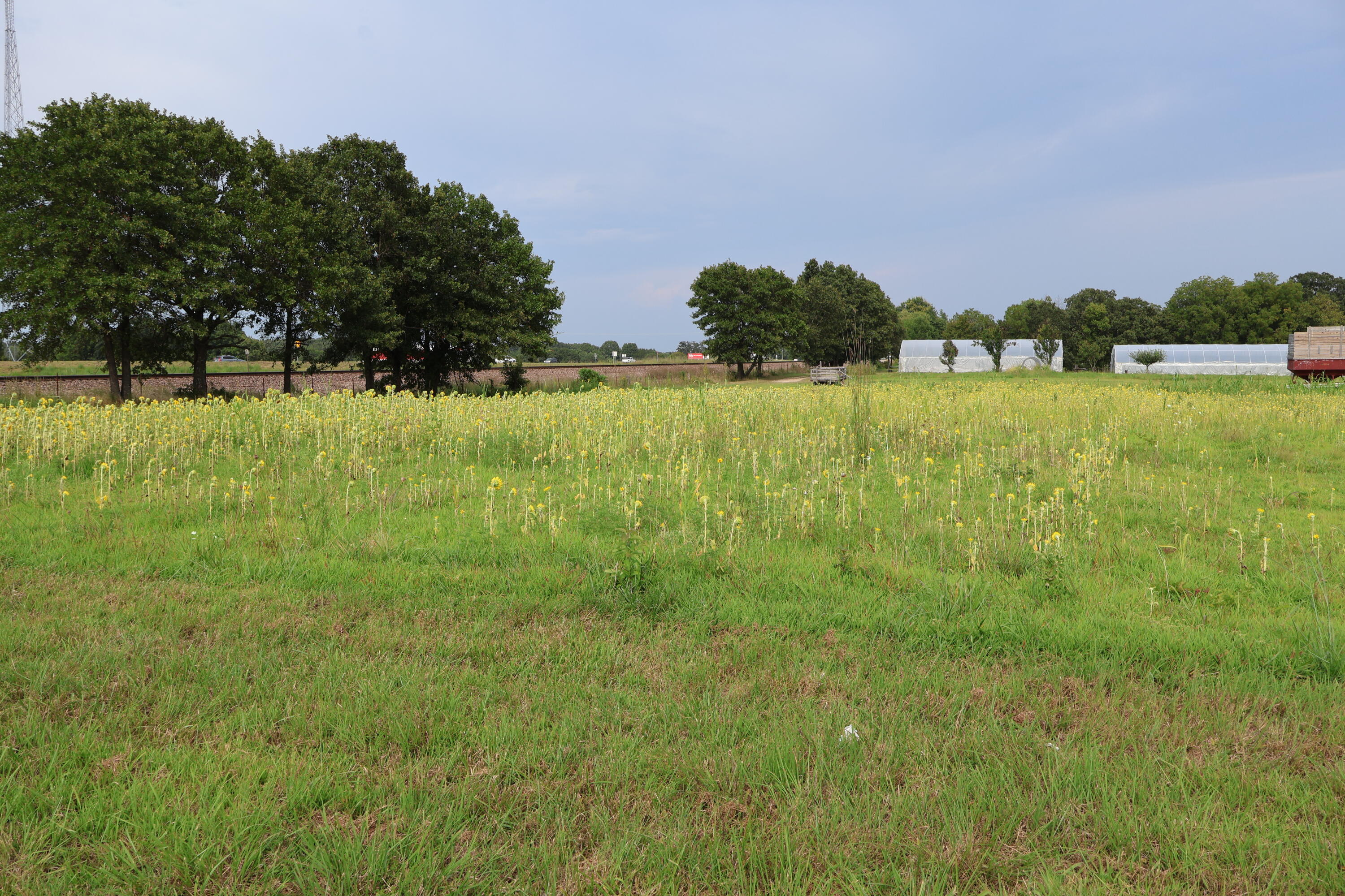 9135 State Highway Z Property Photo 99