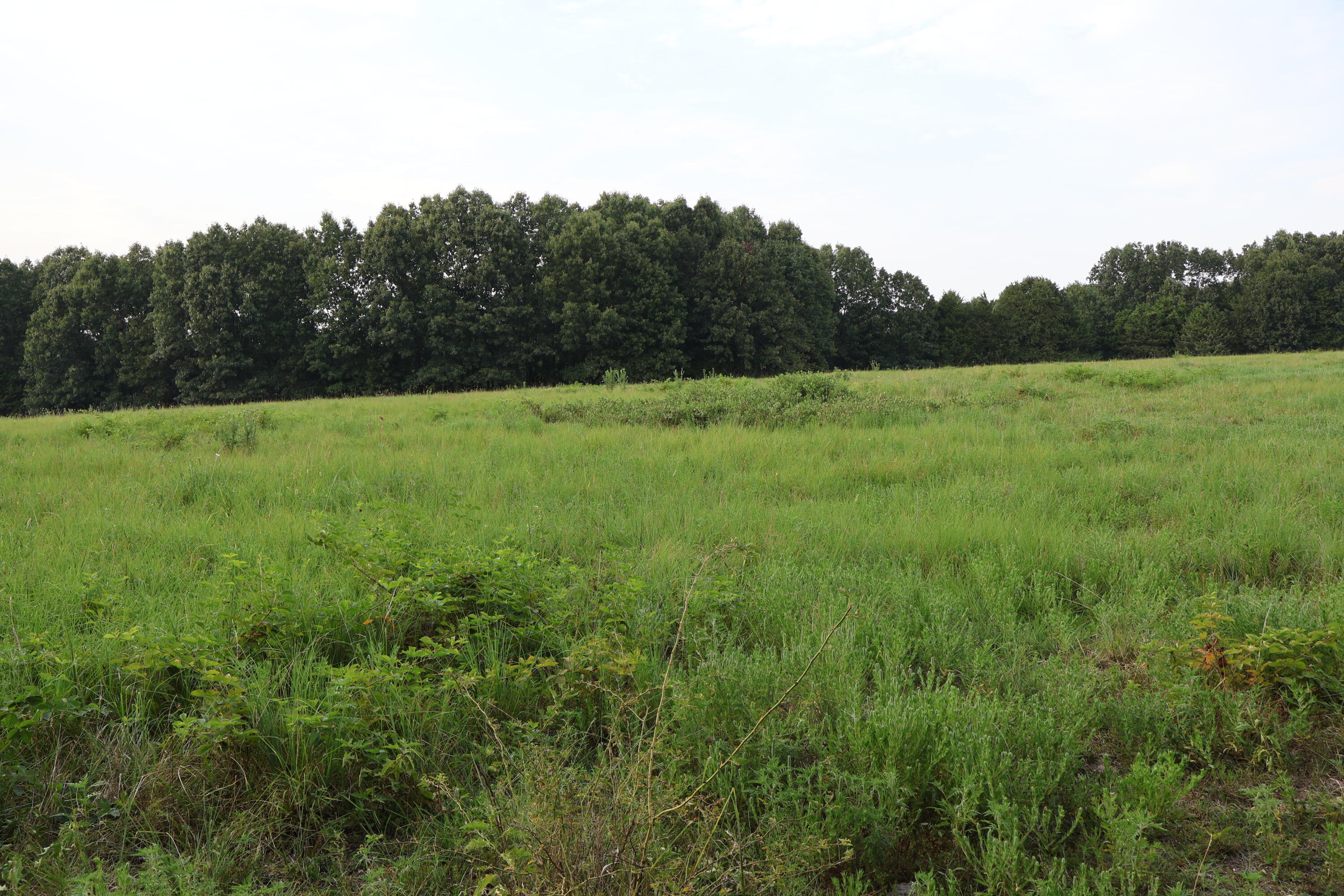 9135 State Highway Z Property Photo 102