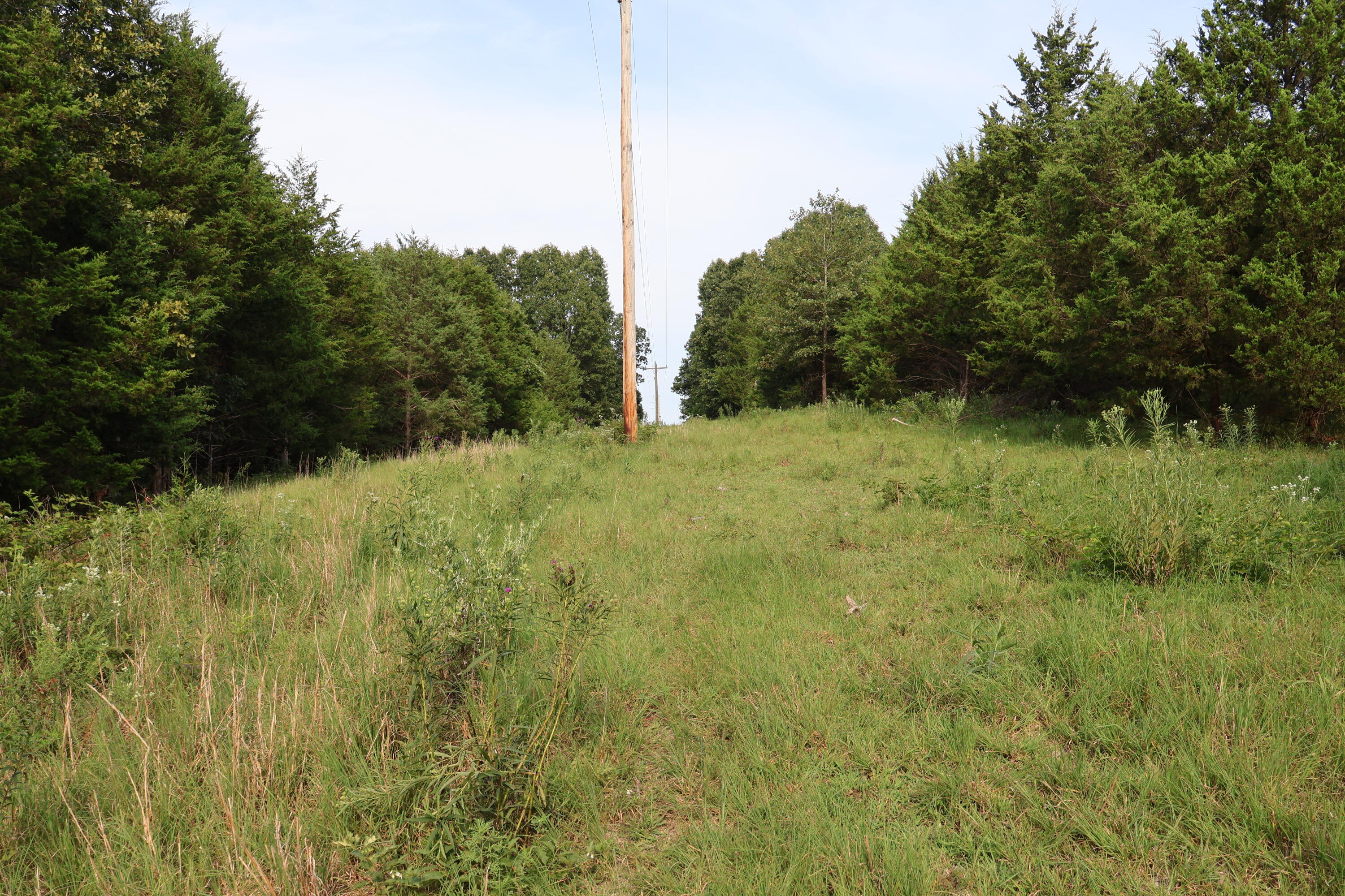9135 State Highway Z Property Photo 103