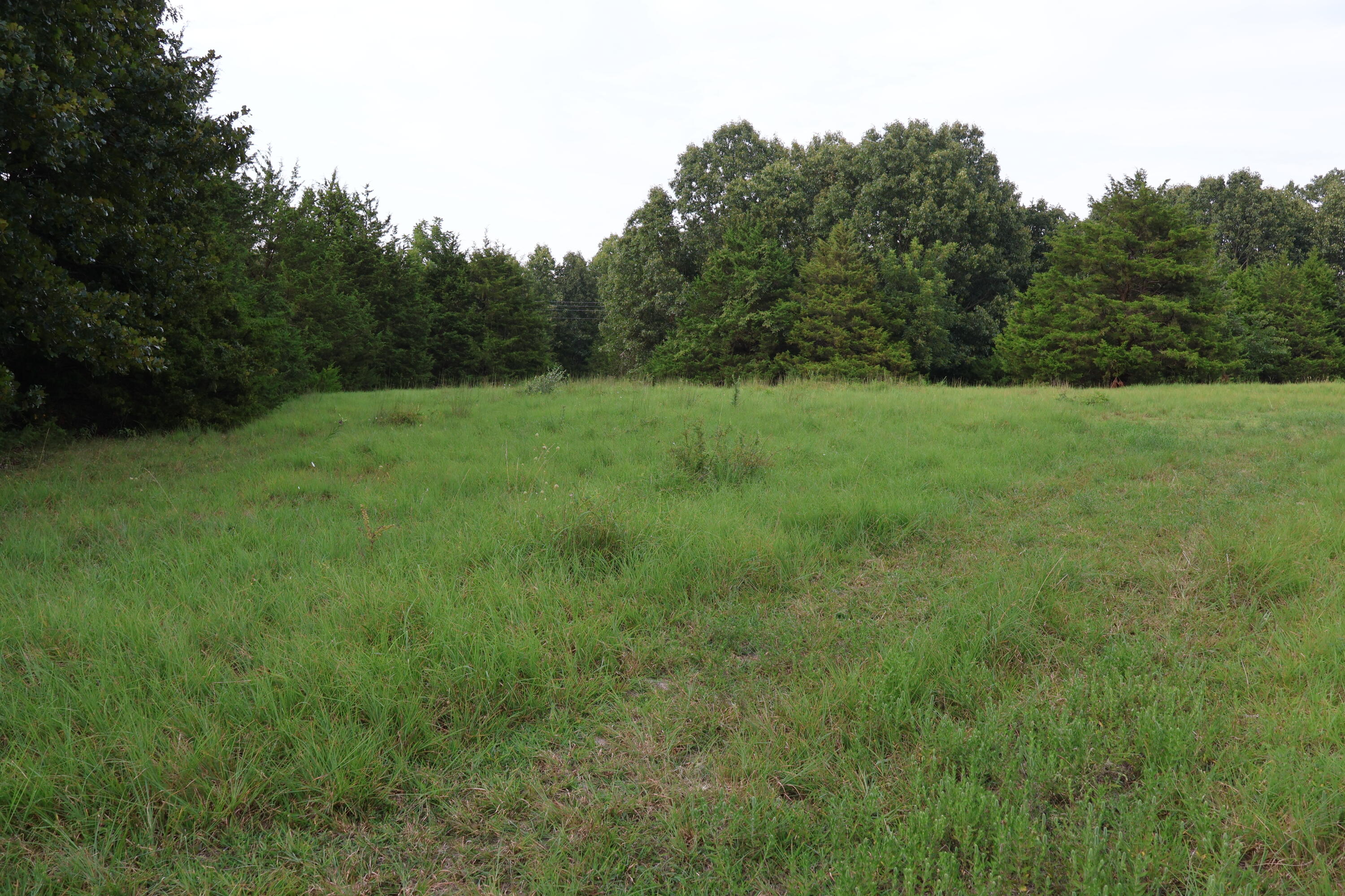 9135 State Highway Z Property Photo 113