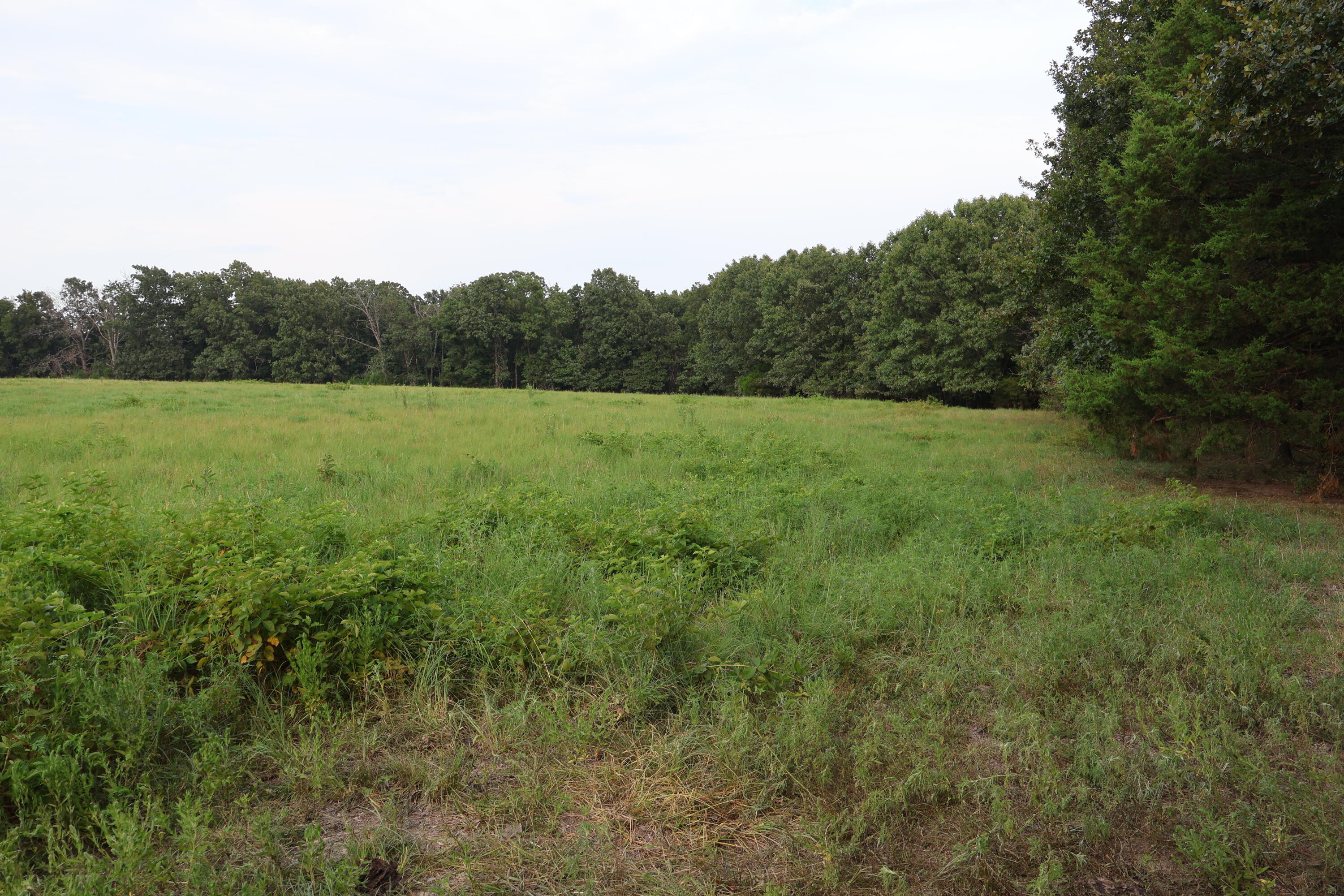 9135 State Highway Z Property Photo 115