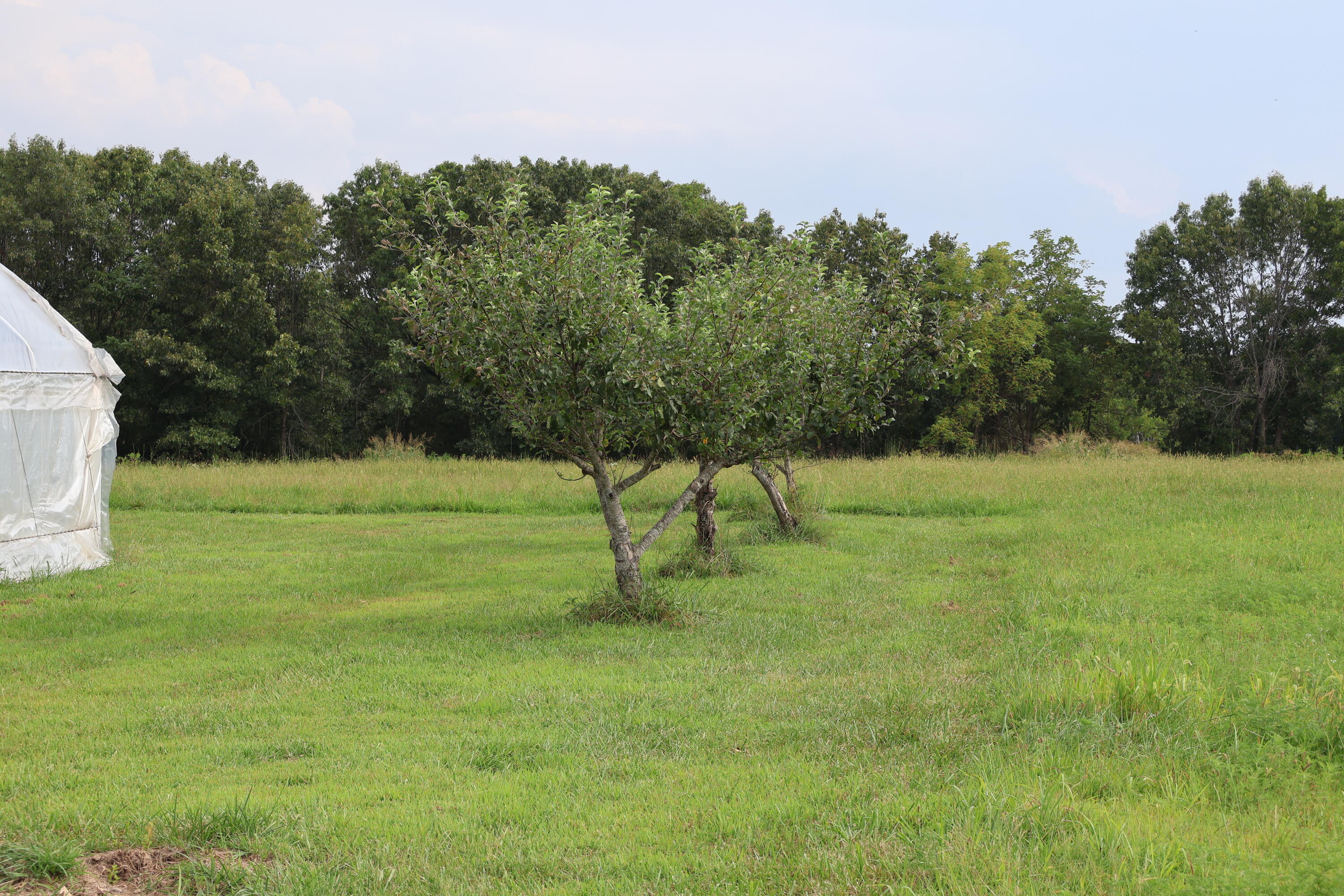 9135 State Highway Z Property Photo 116