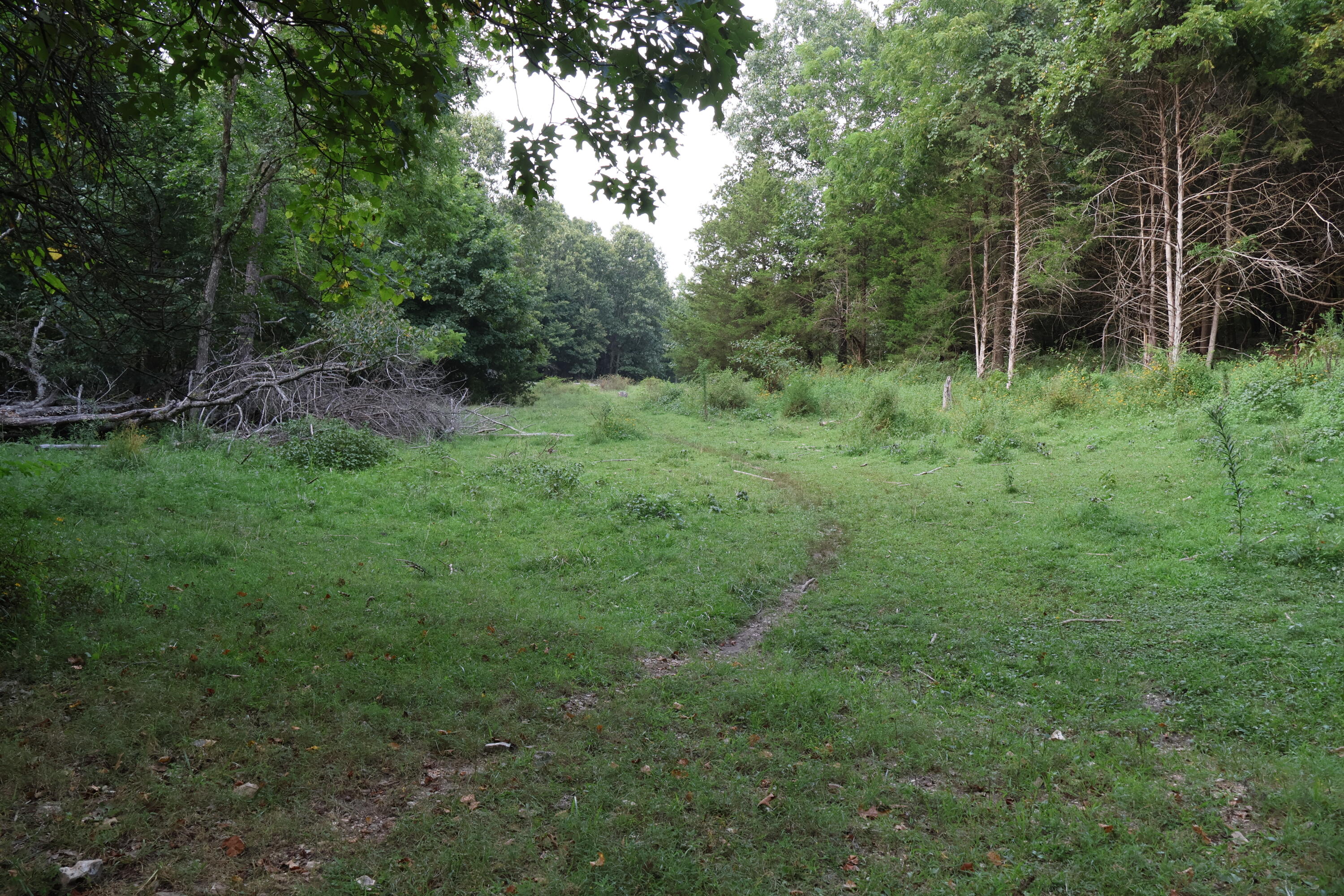 9135 State Highway Z Property Photo 123