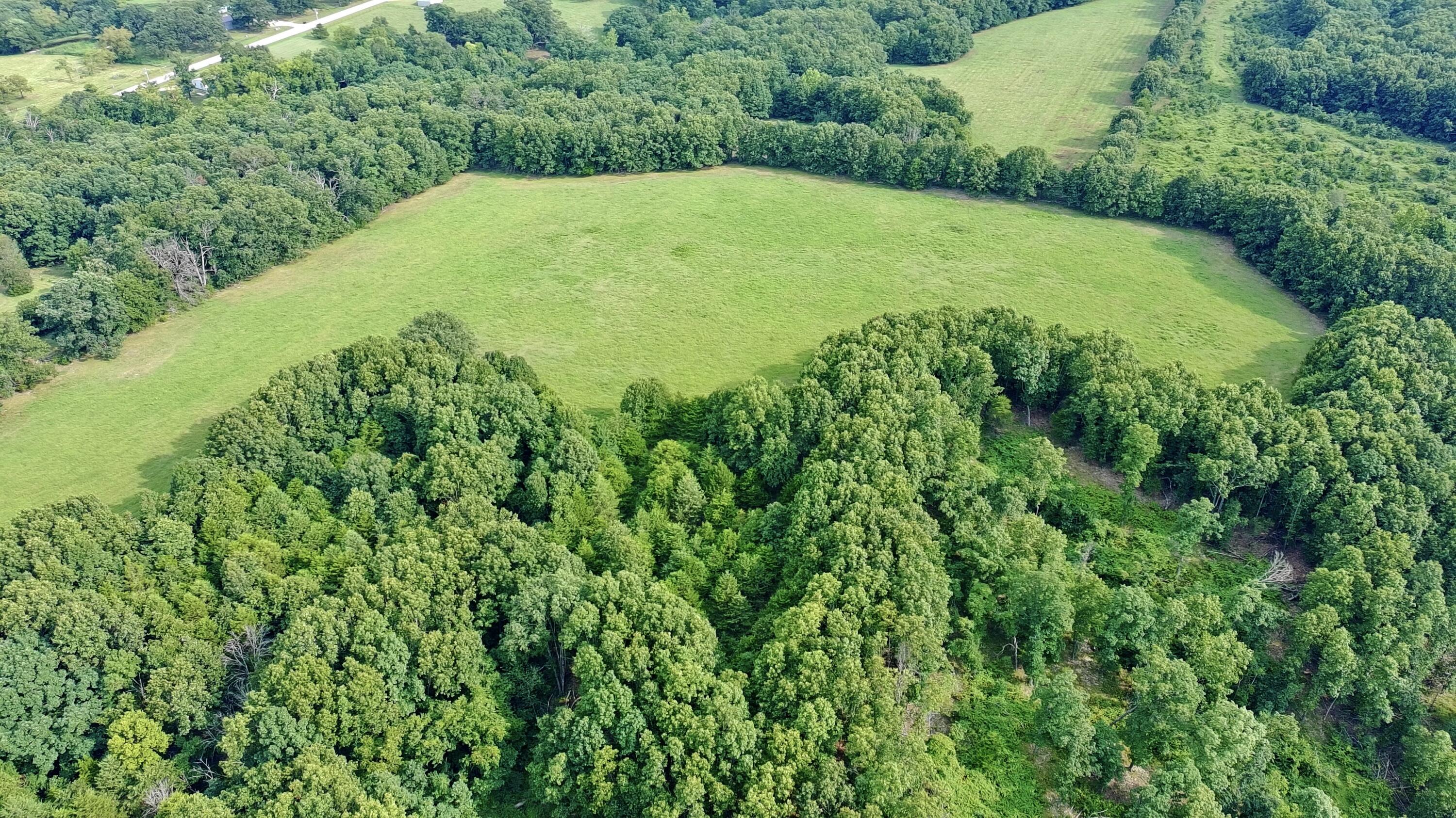 9135 State Highway Z Property Photo 124