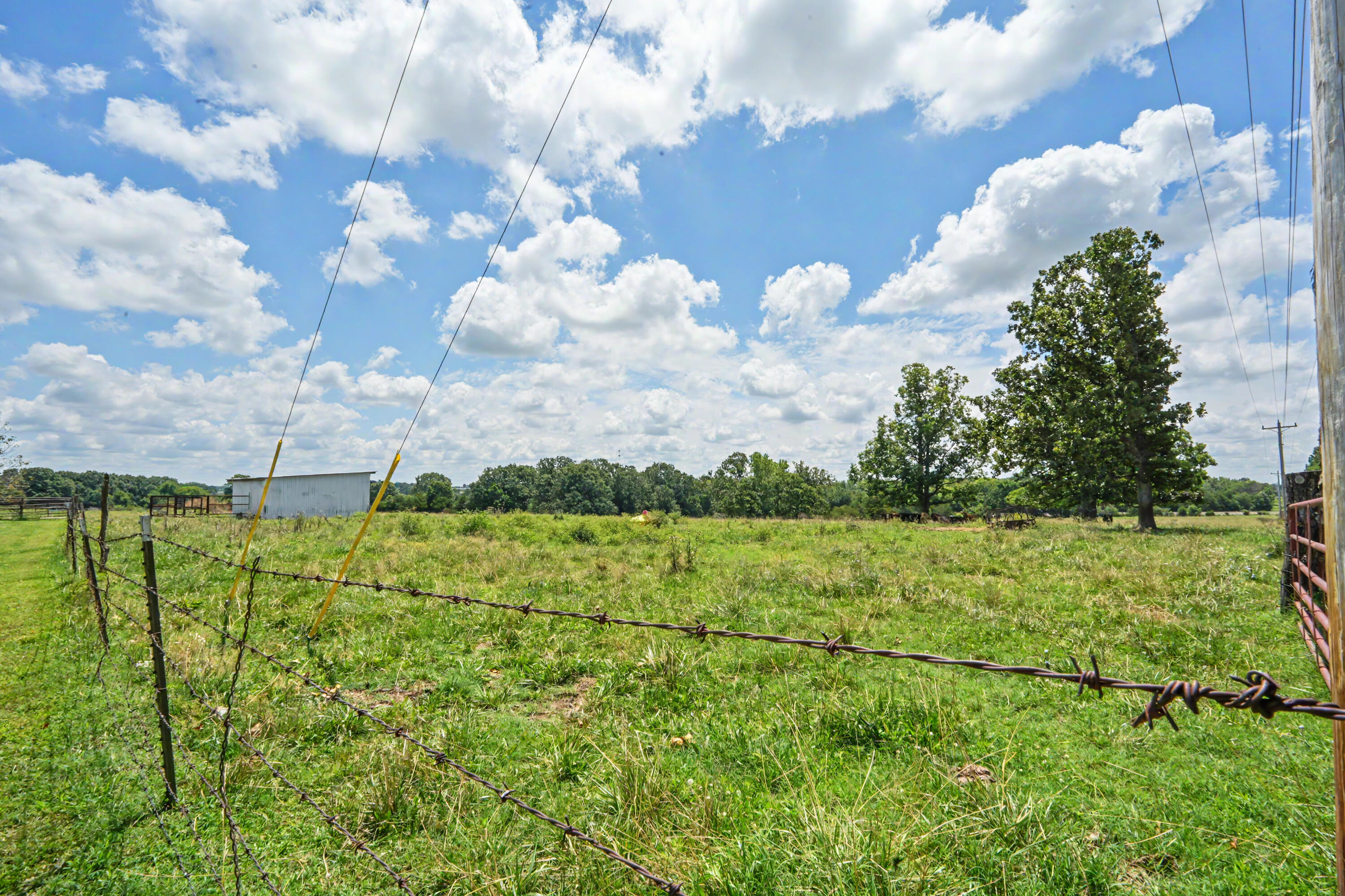 1114 Vermule Road Property Photo 33