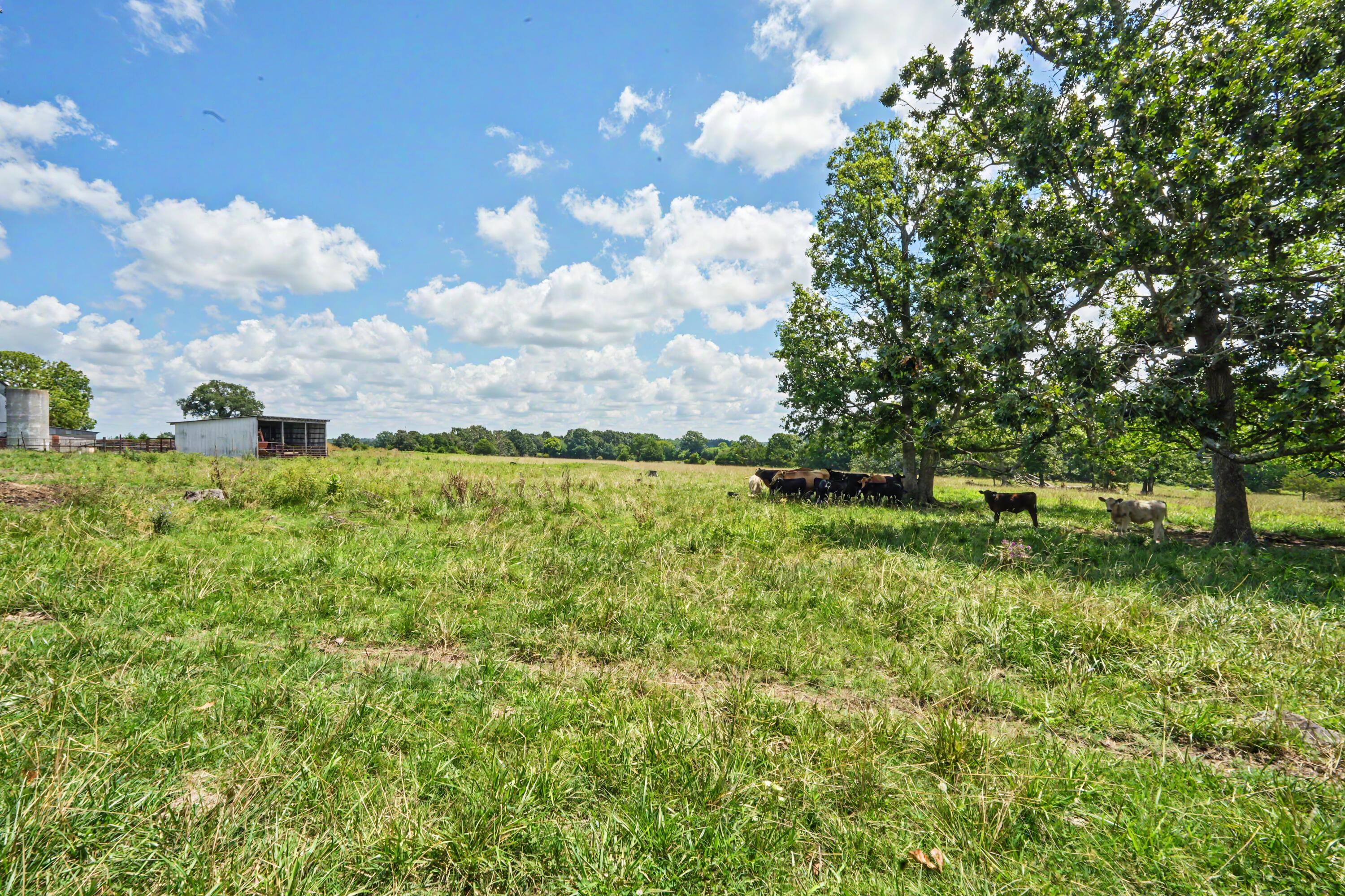 1114 Vermule Road Property Photo 36