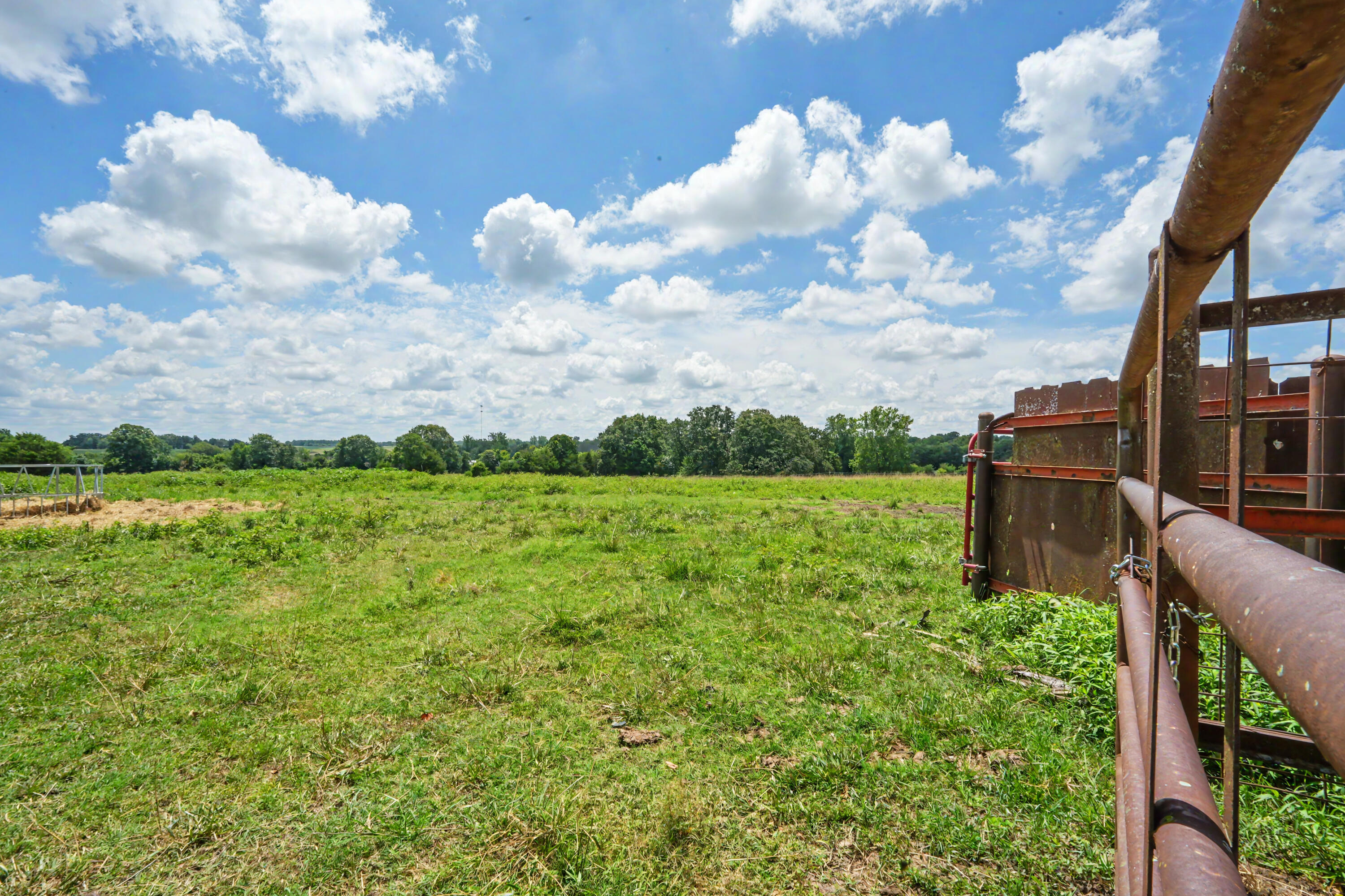 1114 Vermule Road Property Photo 46