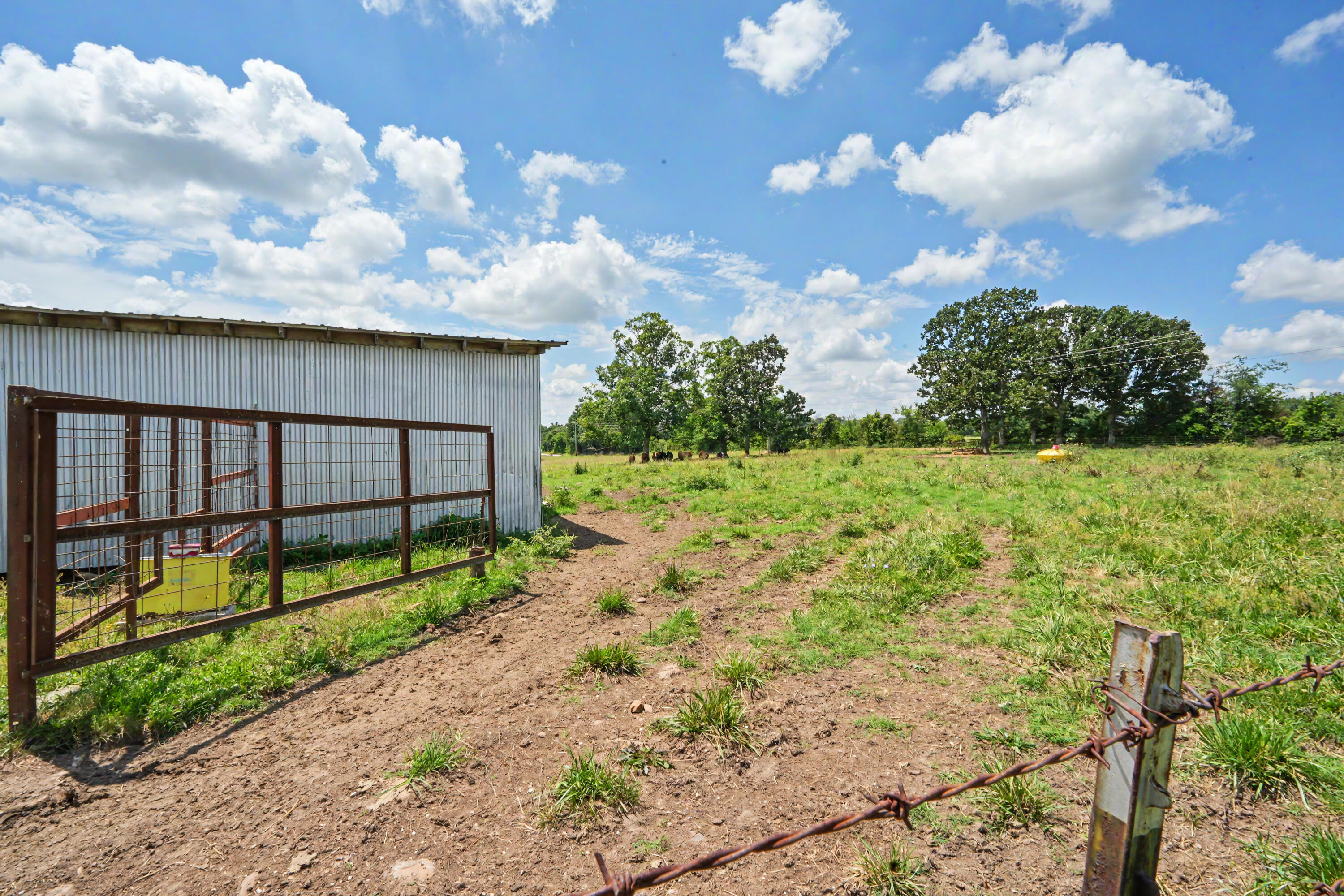 1114 Vermule Road Property Photo 52
