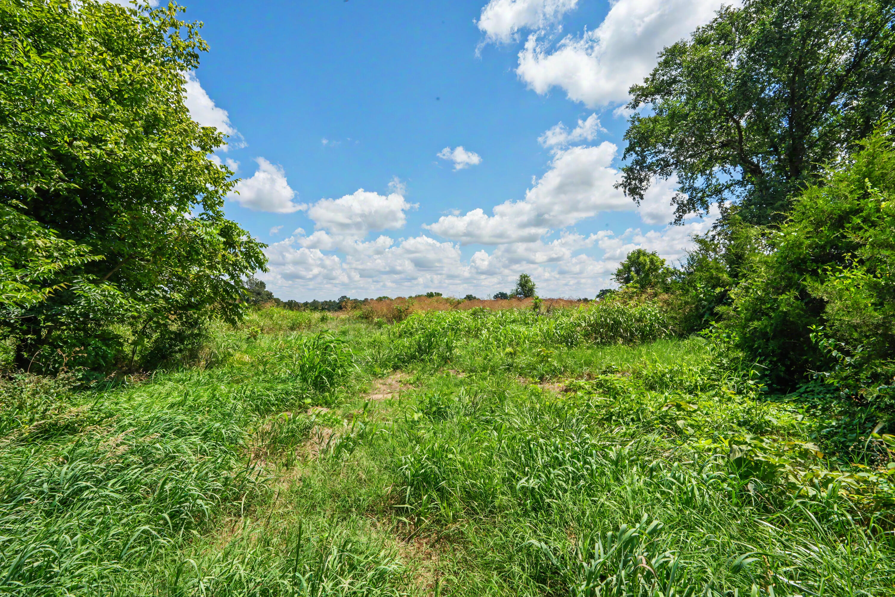1114 Vermule Road Property Photo 65
