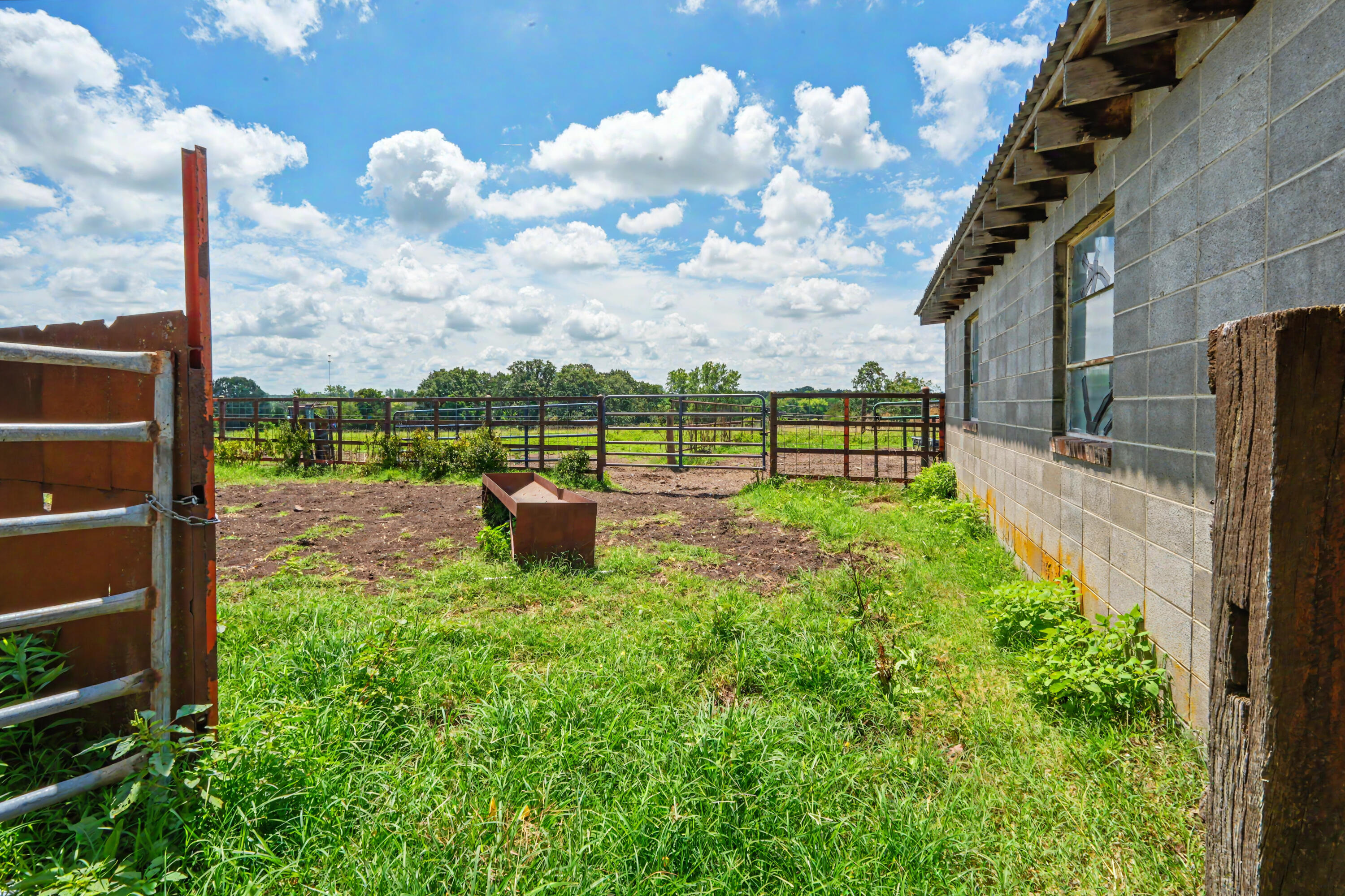1114 Vermule Road Property Photo 66