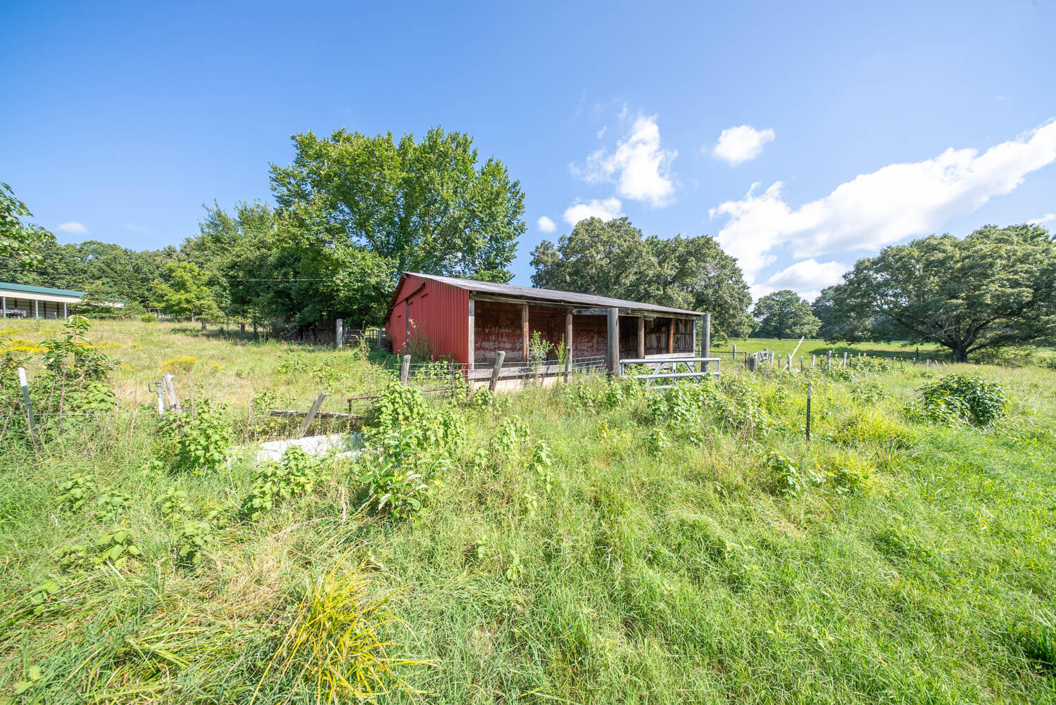 13917 County Road 6910 Property Photo 61