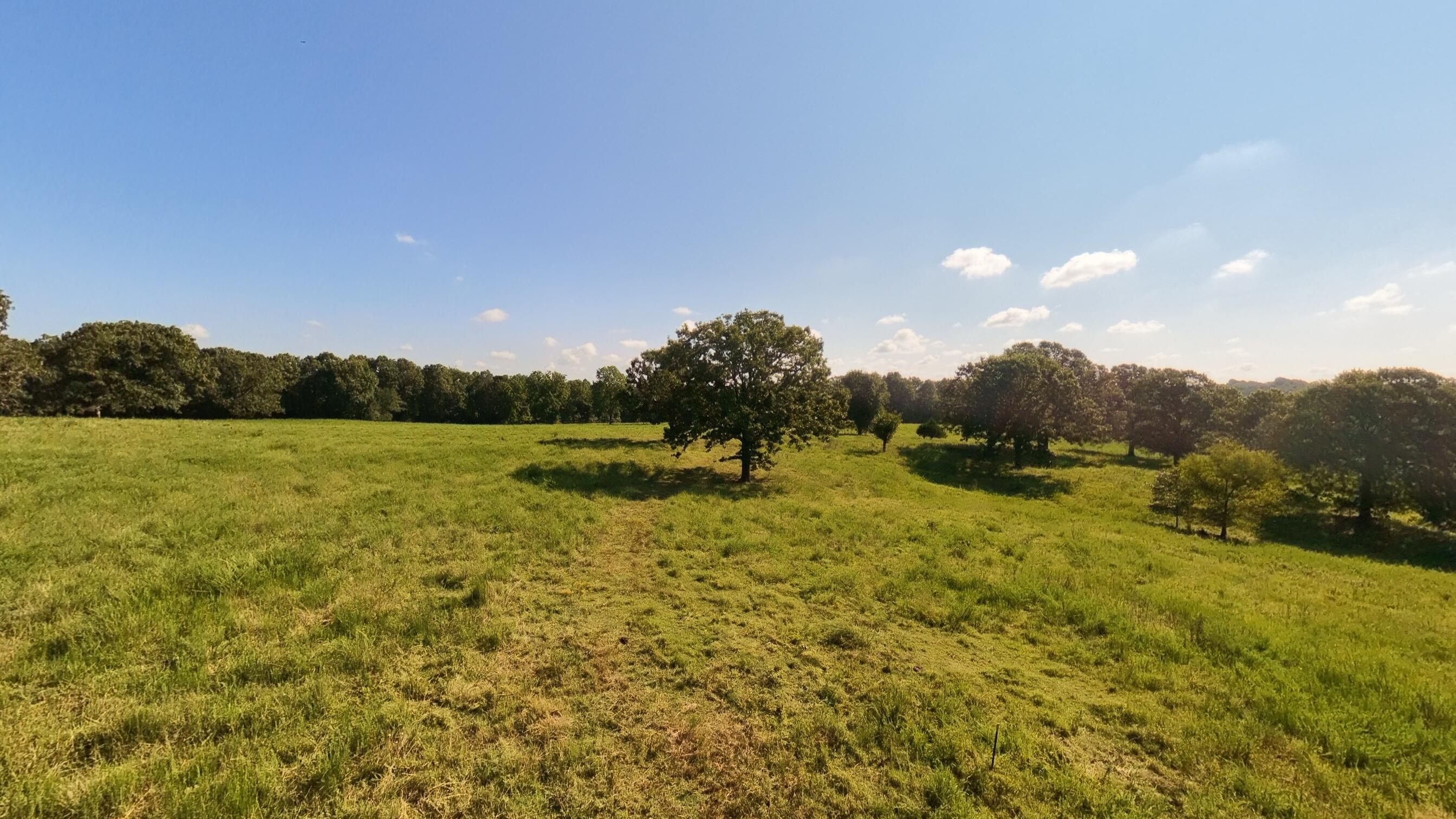 13917 County Road 6910 Property Photo 80