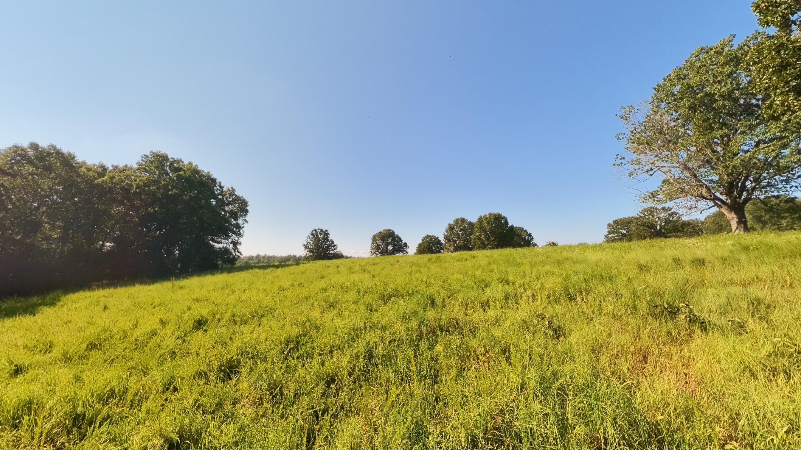 13917 County Road 6910 Property Photo 86