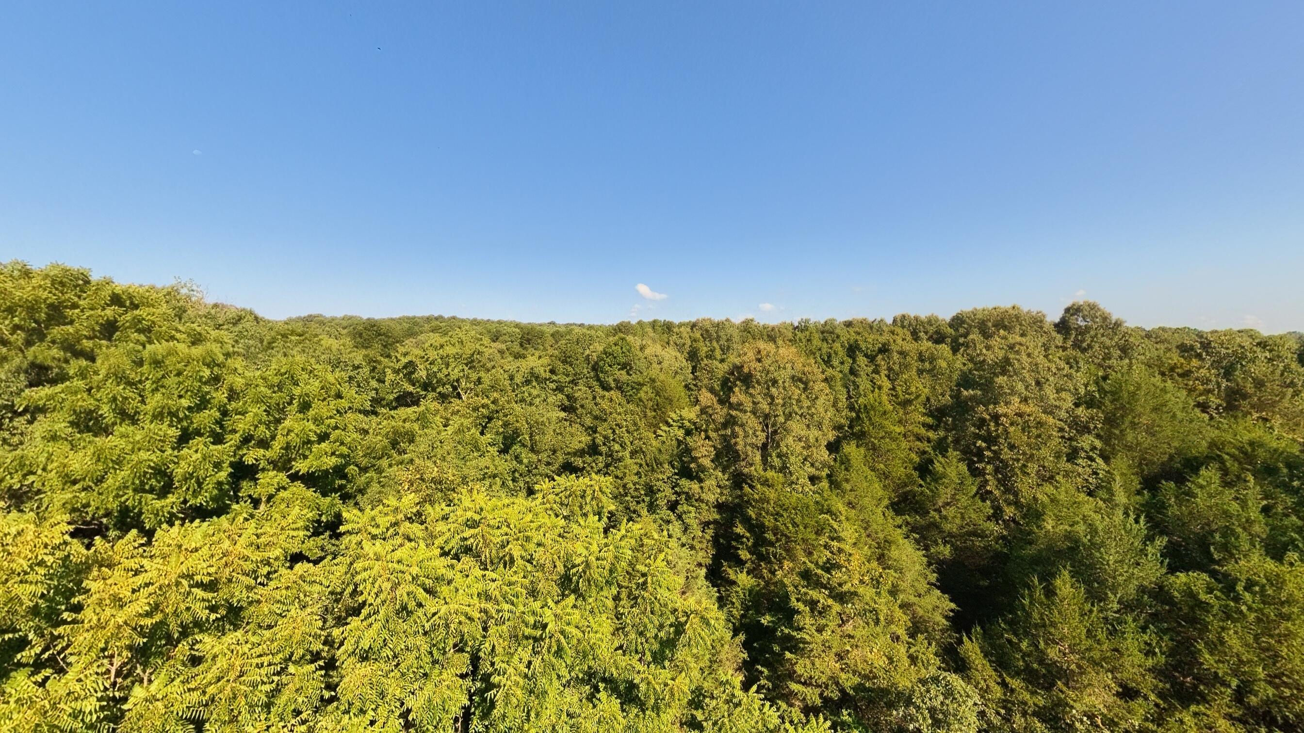 13917 County Road 6910 Property Photo 88