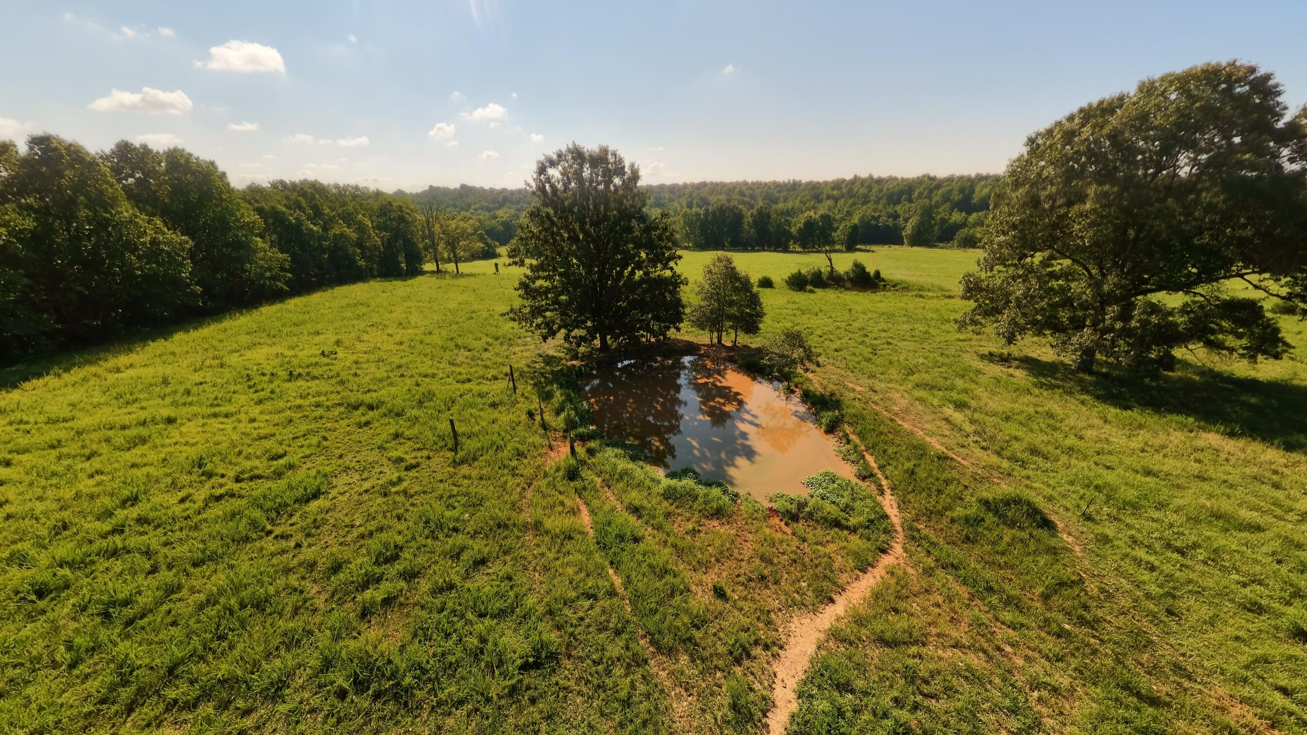 13917 County Road 6910 Property Photo 91