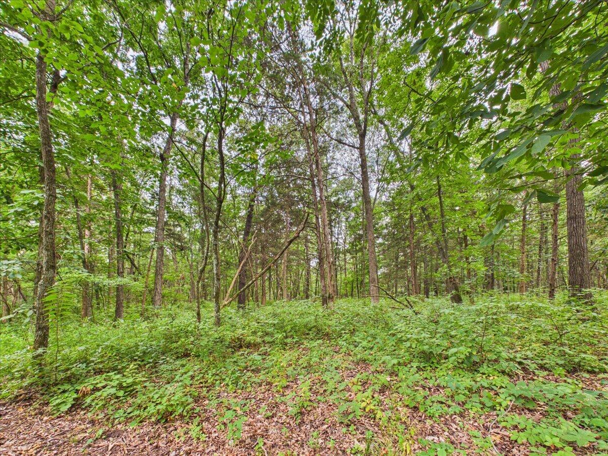 23175 County Road 181 Property Photo 61