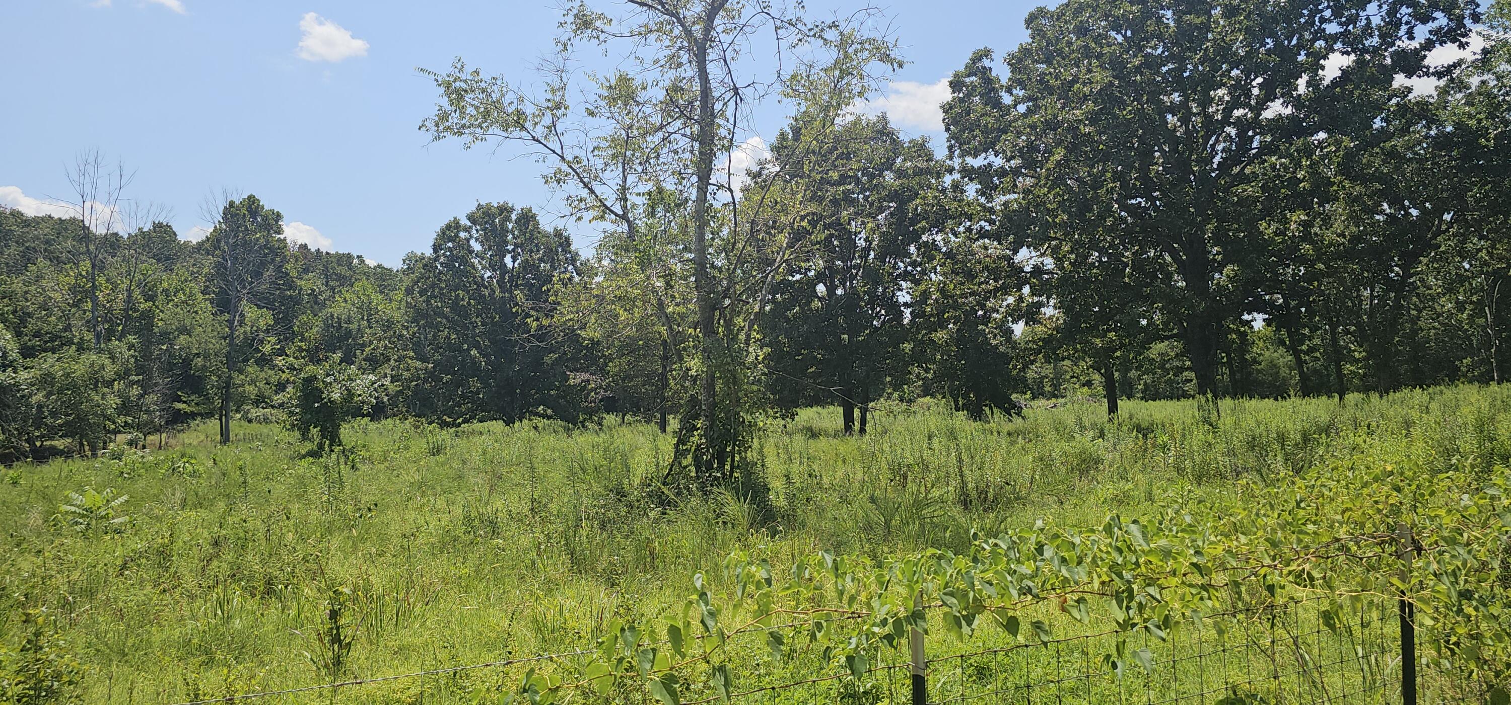 2830 County Road 7780 Property Photo 4