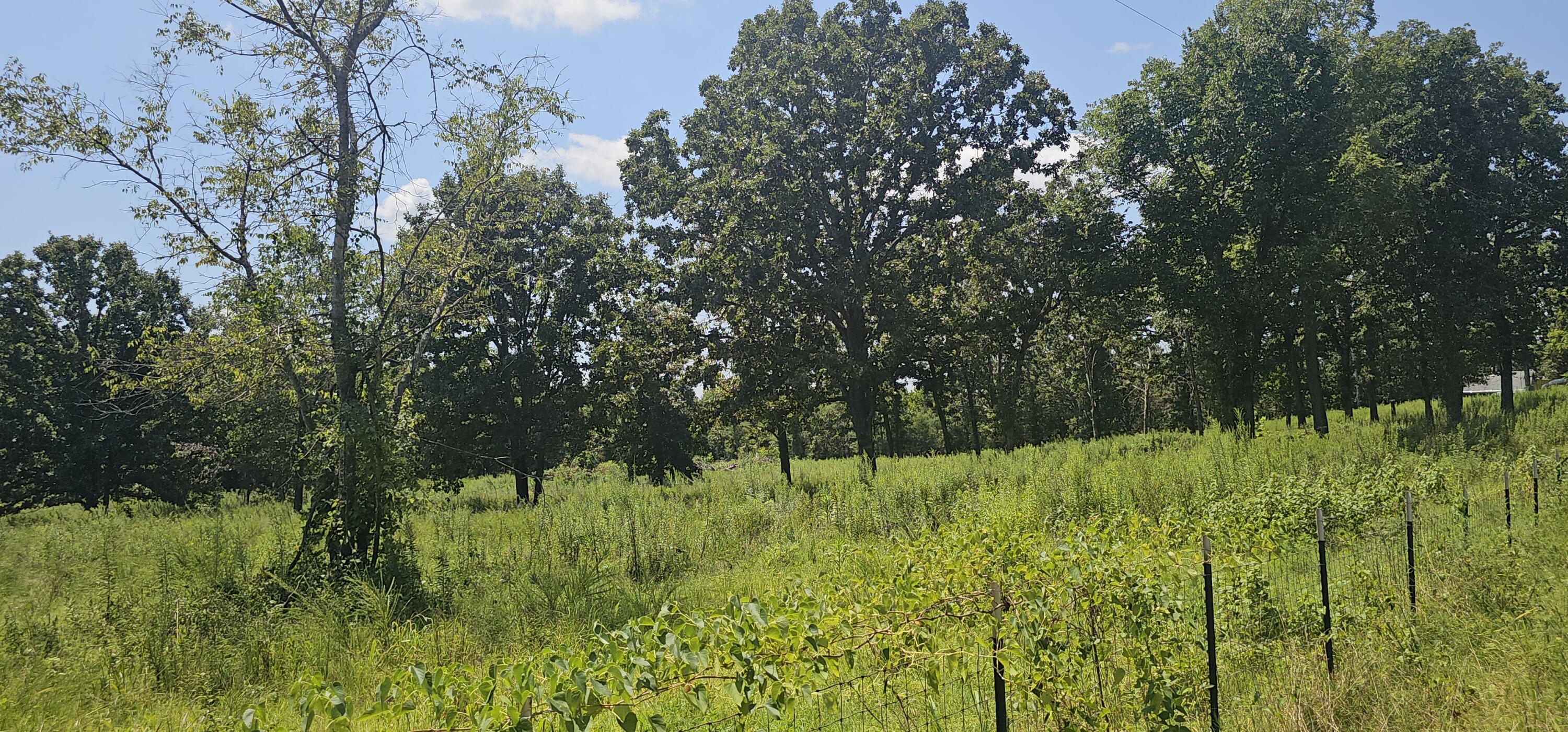 2830 County Road 7780 Property Photo 5