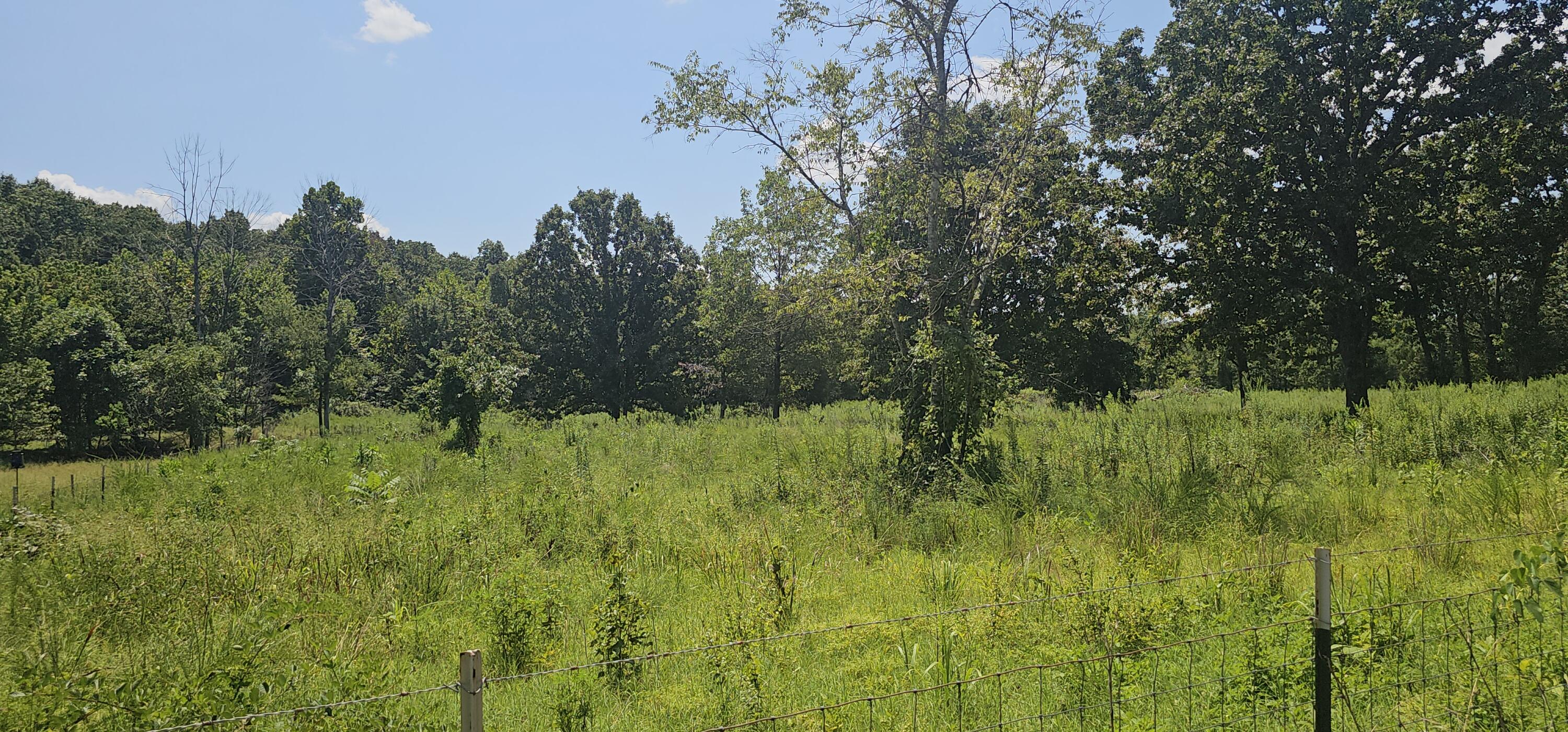 2830 County Road 7780 Property Photo 6