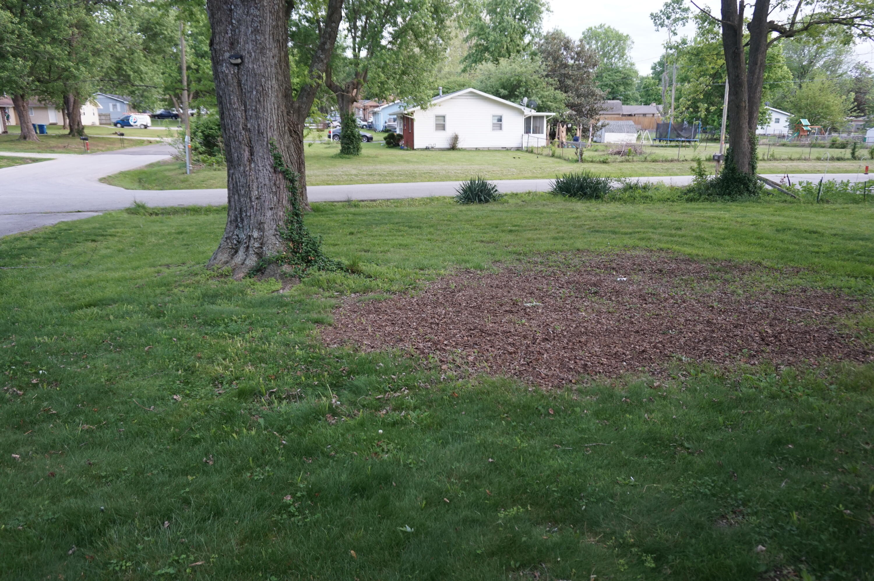 203 West King Drive Property Photo 6