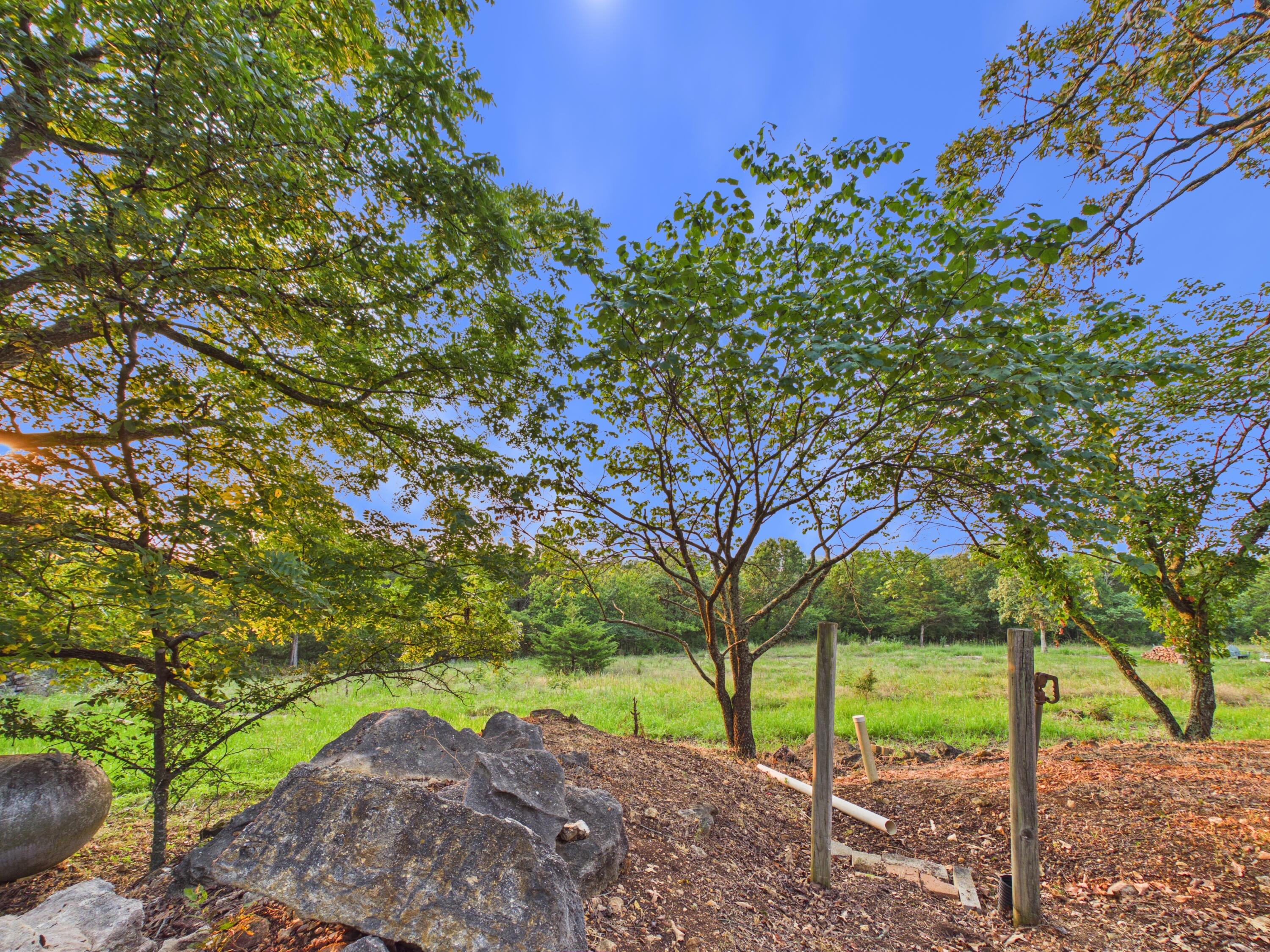 22565 County Road 203 Property Photo 9