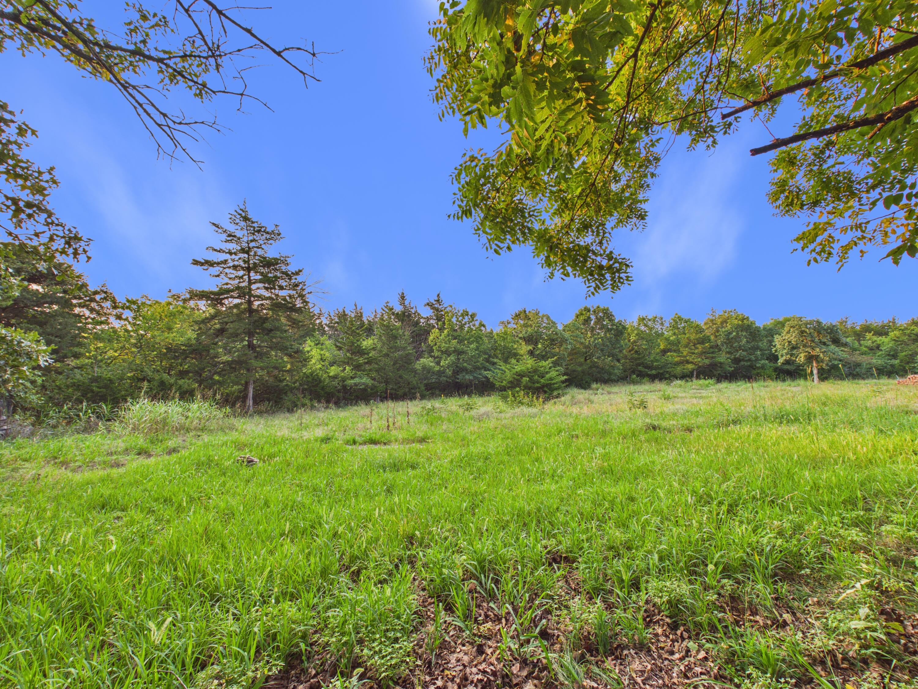 22565 County Road 203 Property Photo 15