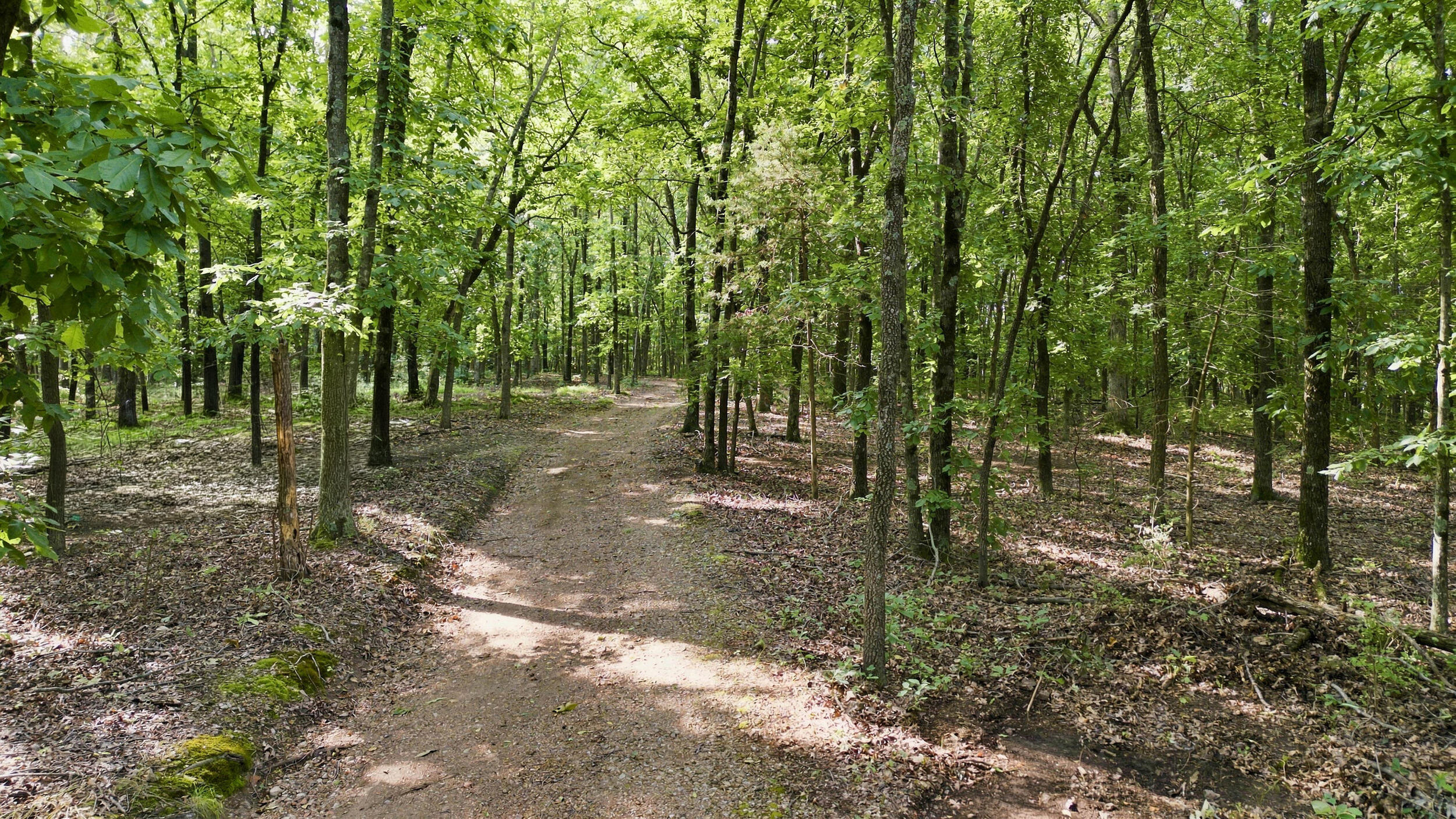 24709 Wolfe Road Property Photo 32