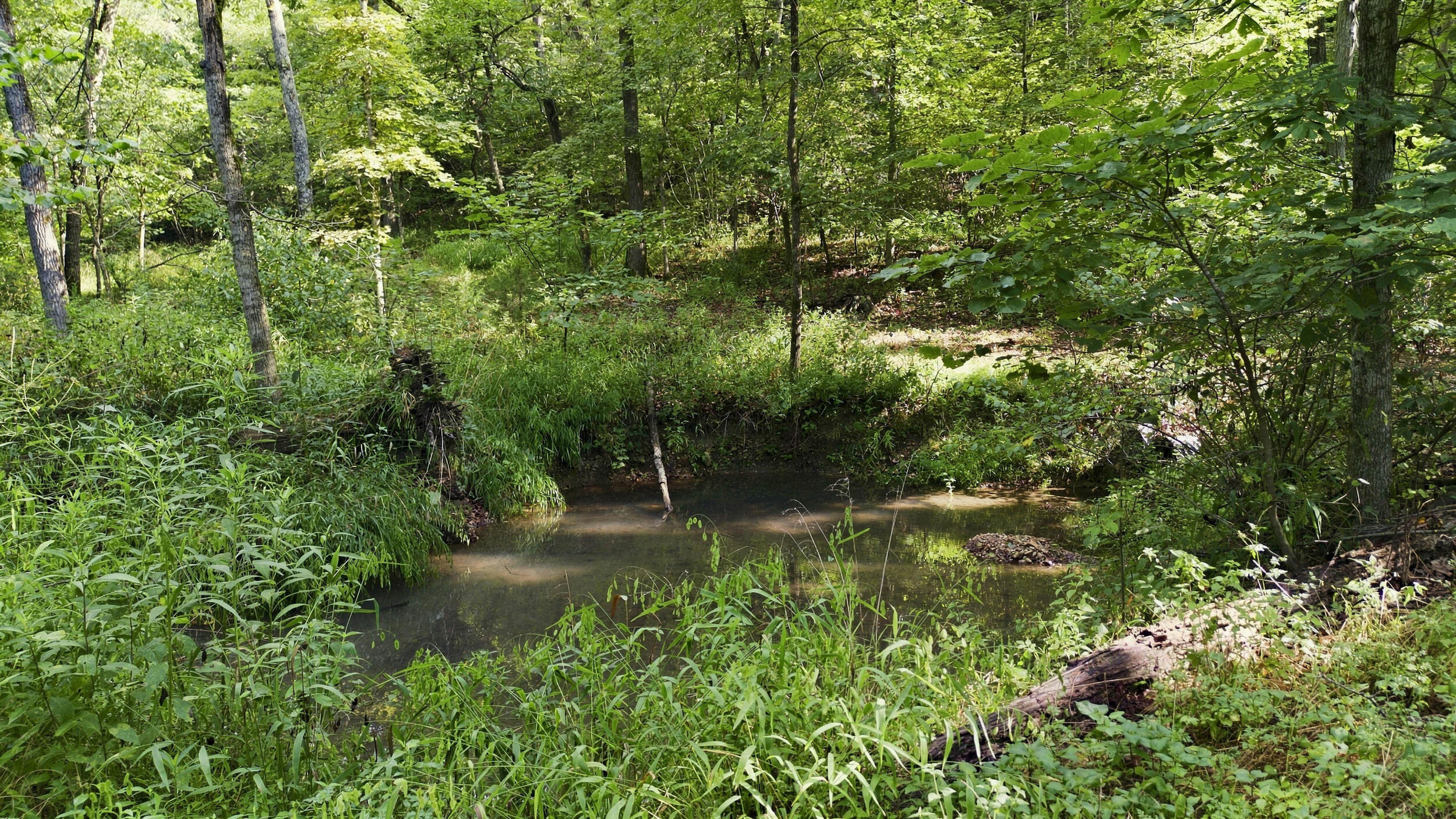 24709 Wolfe Road Property Photo 36