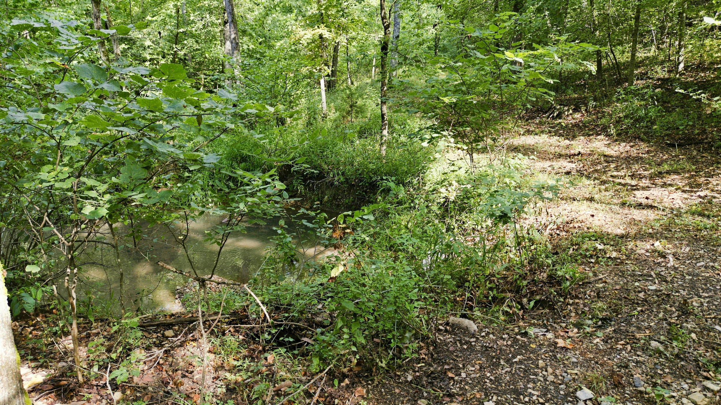 24709 Wolfe Road Property Photo 37