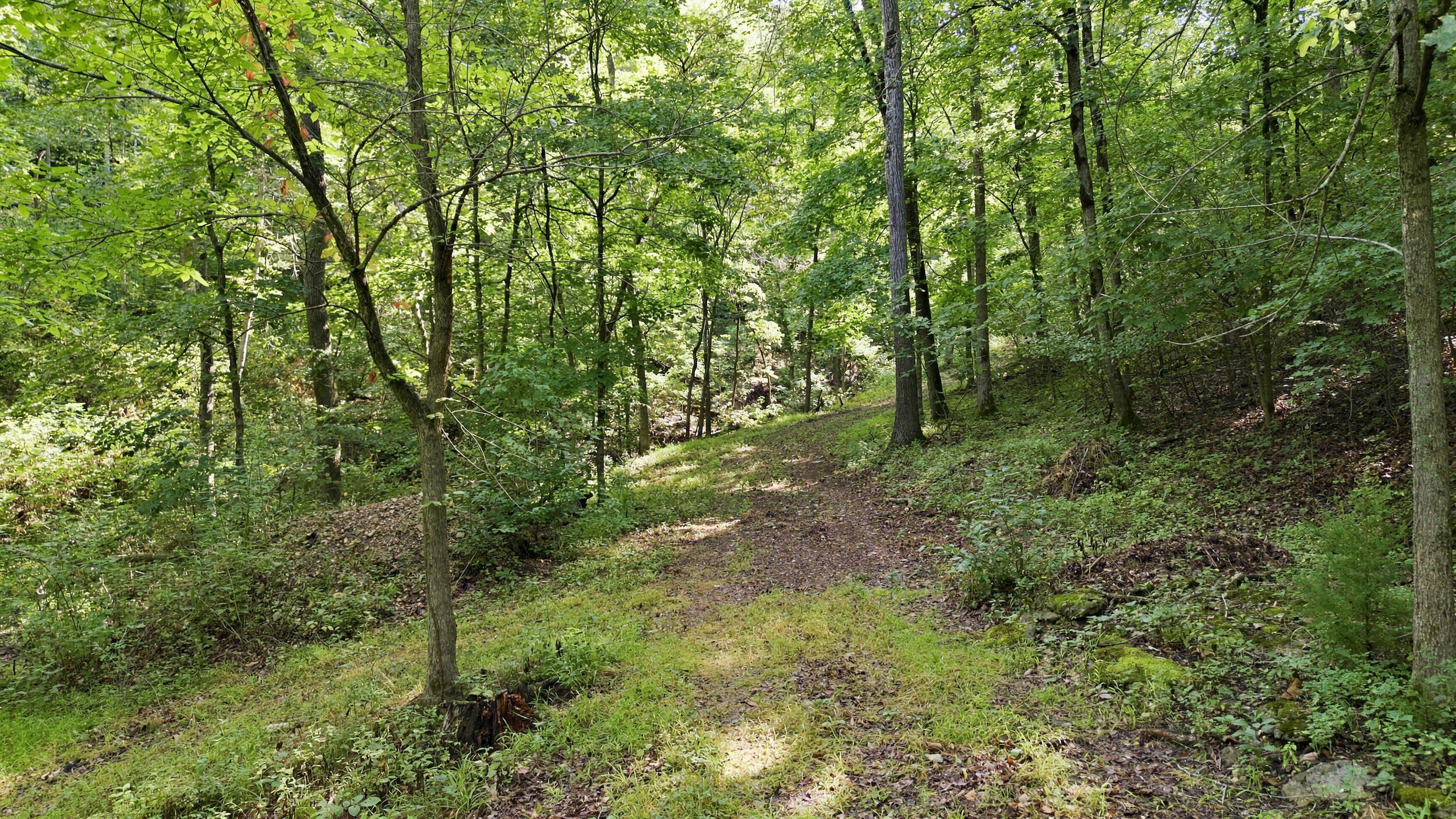 24709 Wolfe Road Property Photo 38