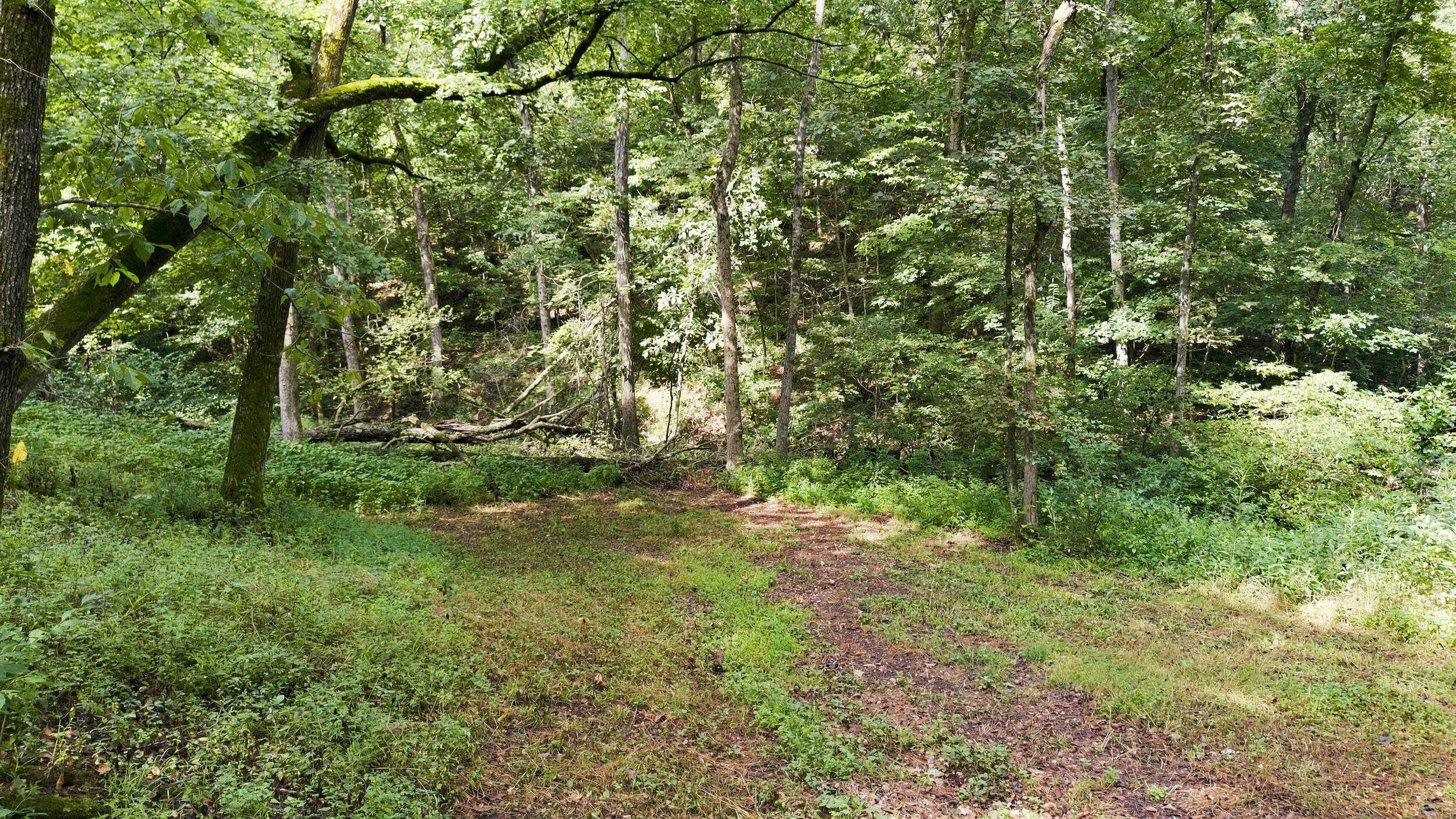 24709 Wolfe Road Property Photo 39