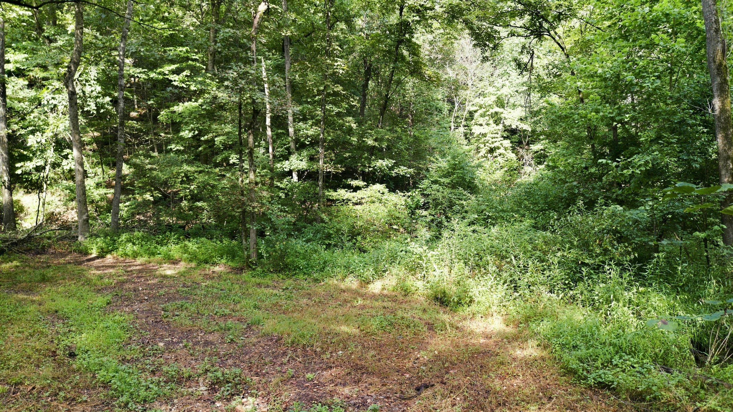 24709 Wolfe Road Property Photo 40