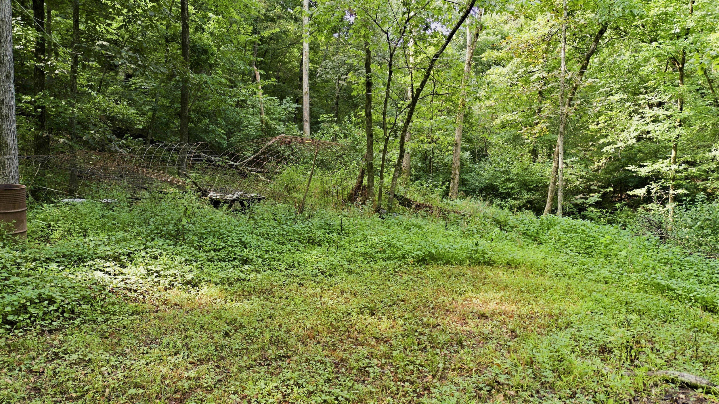 24709 Wolfe Road Property Photo 41