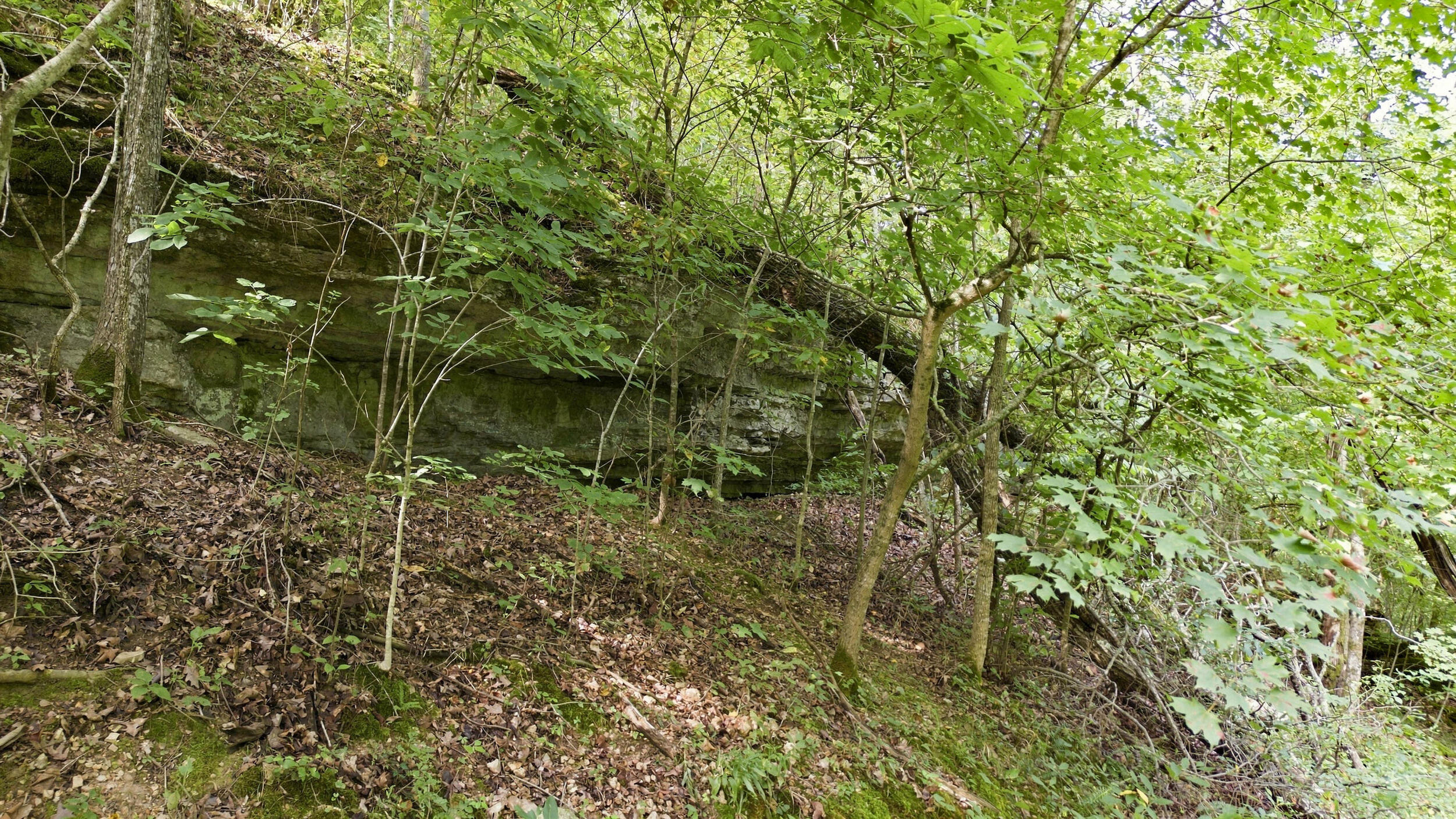 24709 Wolfe Road Property Photo 42