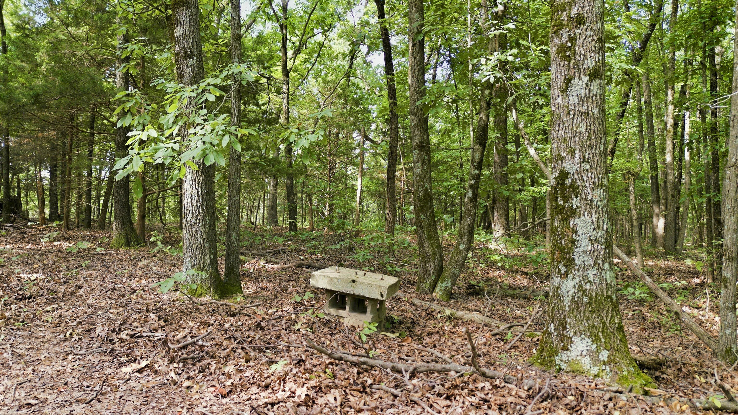 24709 Wolfe Road Property Photo 44