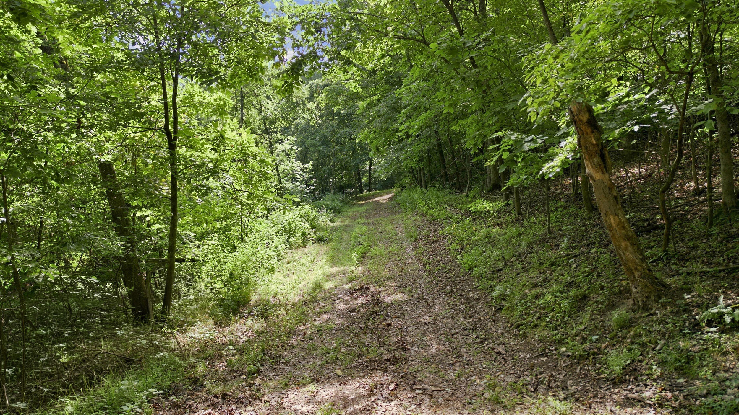 24709 Wolfe Road Property Photo 45