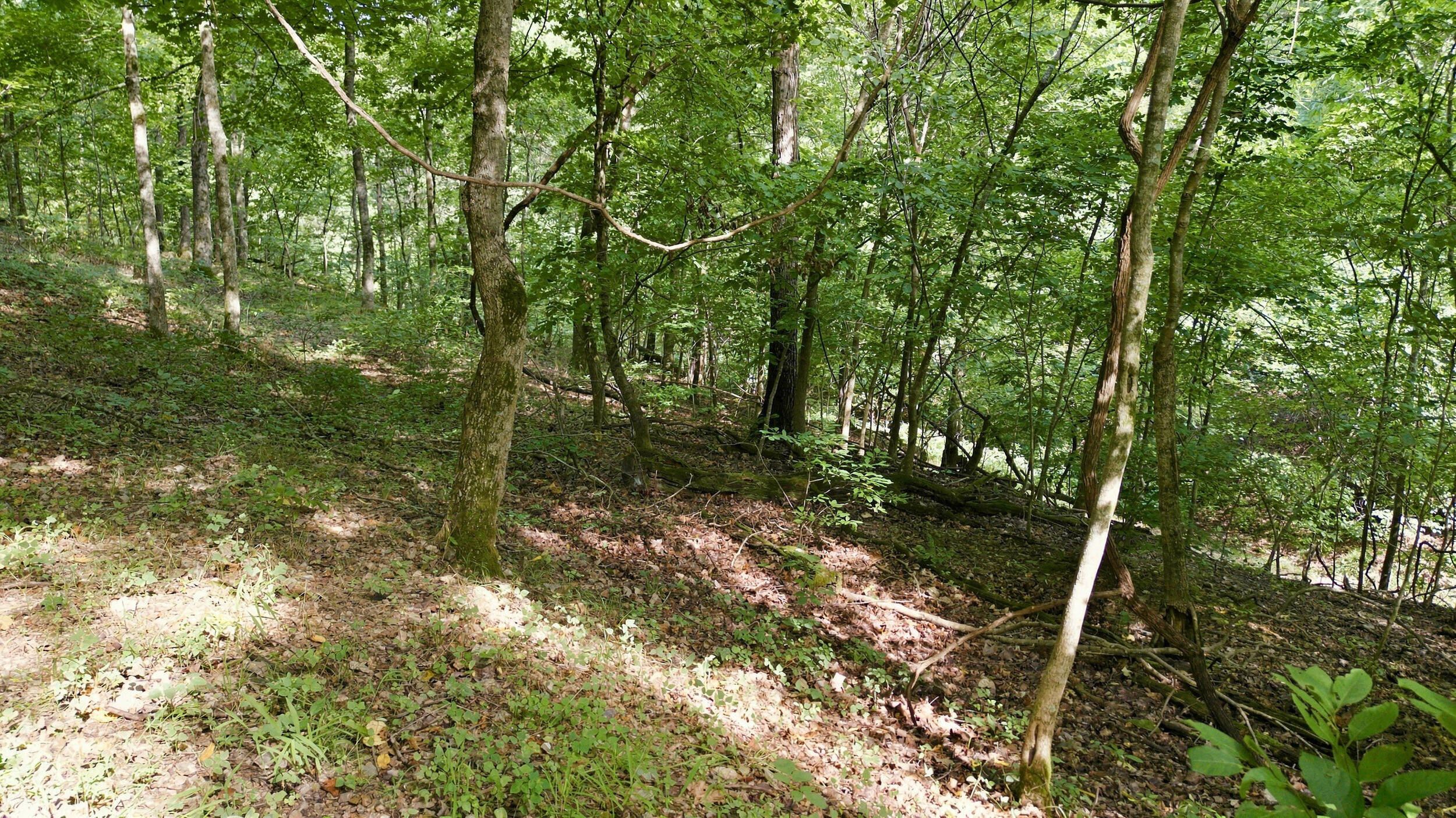 24709 Wolfe Road Property Photo 46