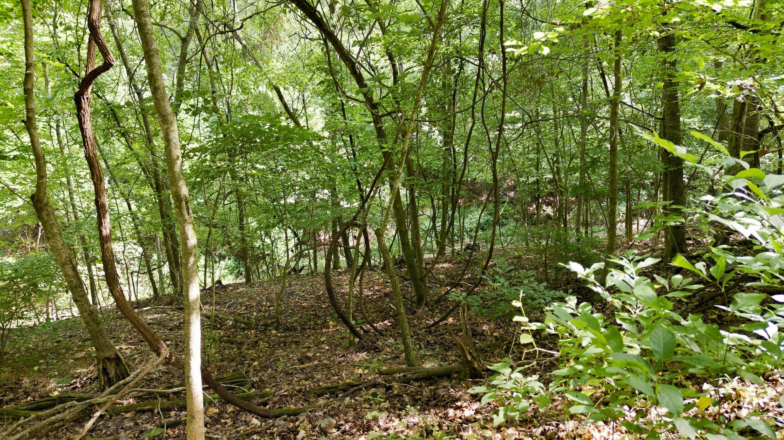24709 Wolfe Road Property Photo 47