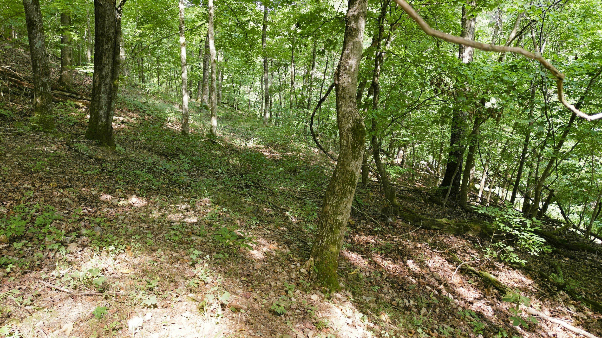 24709 Wolfe Road Property Photo 48