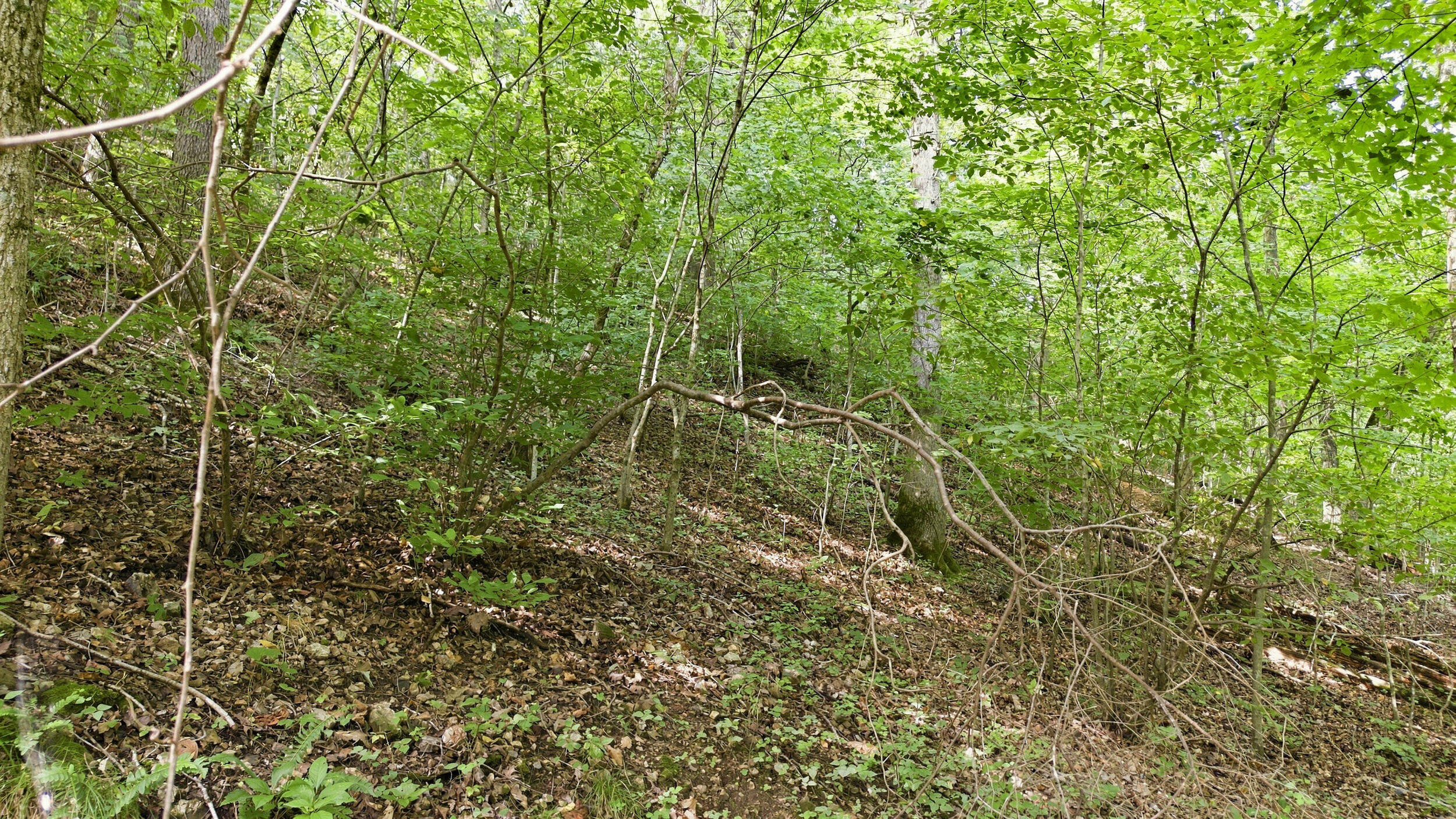 24709 Wolfe Road Property Photo 49