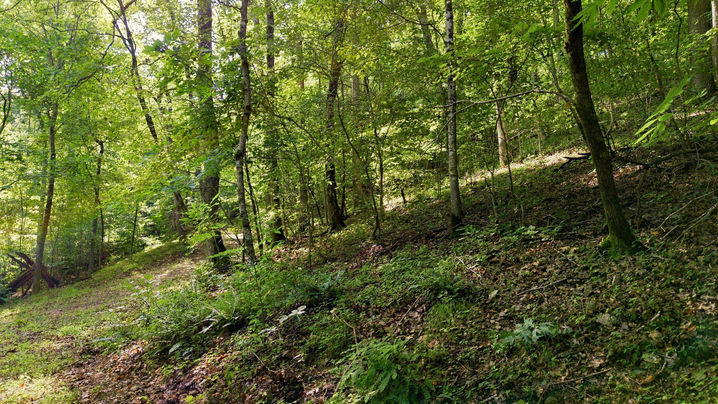 24709 Wolfe Road Property Photo 50