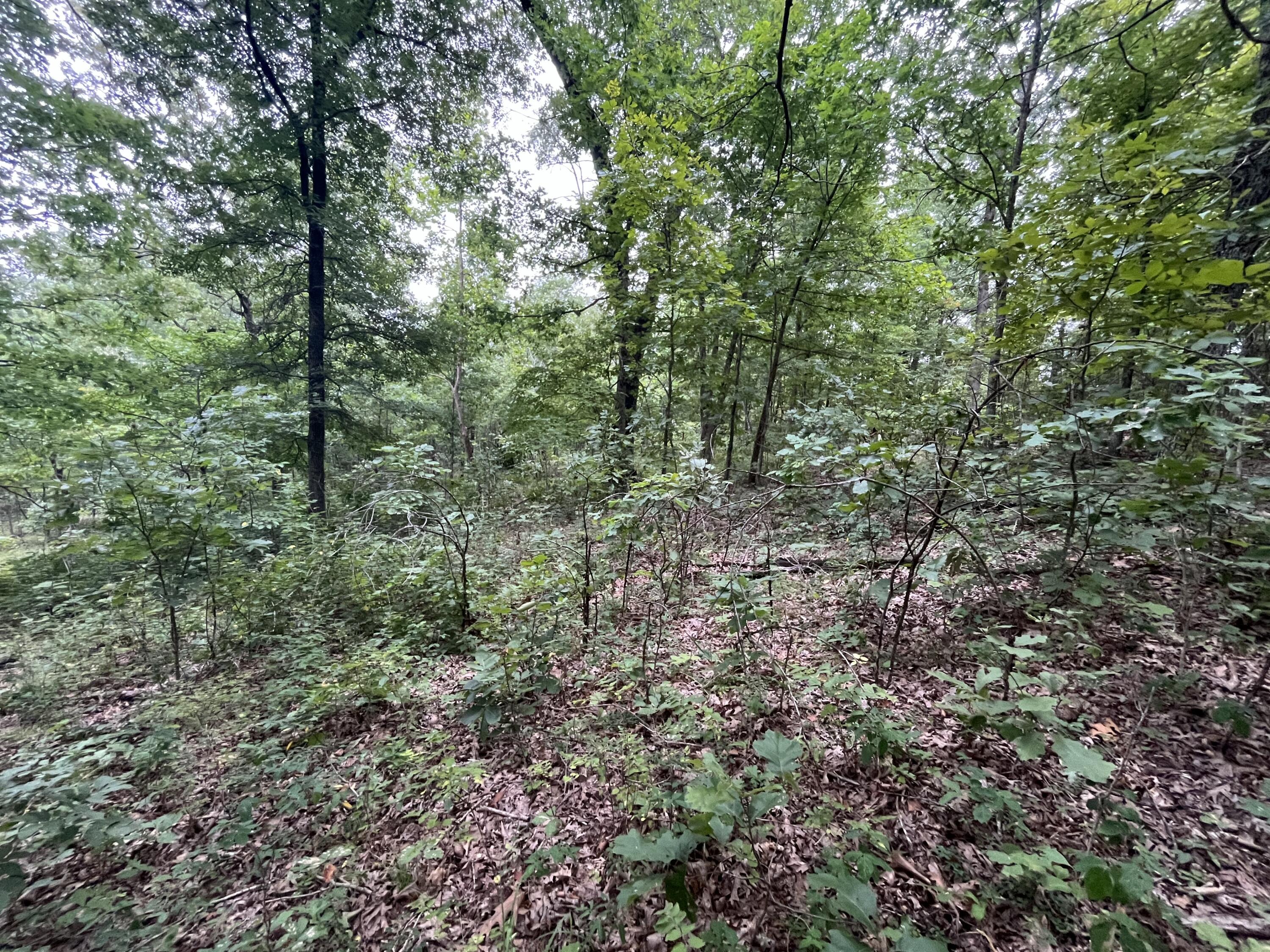 000 Partridge Drive Property Photo 8