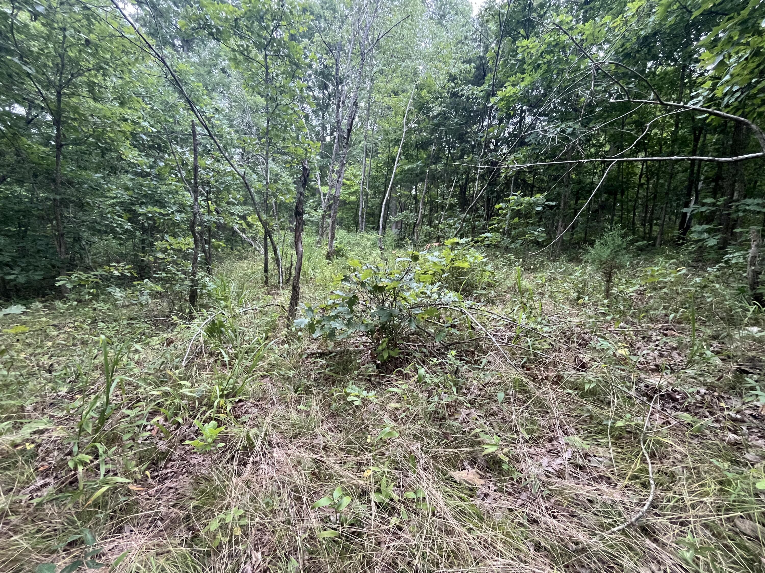 000 Partridge Drive Property Photo 10