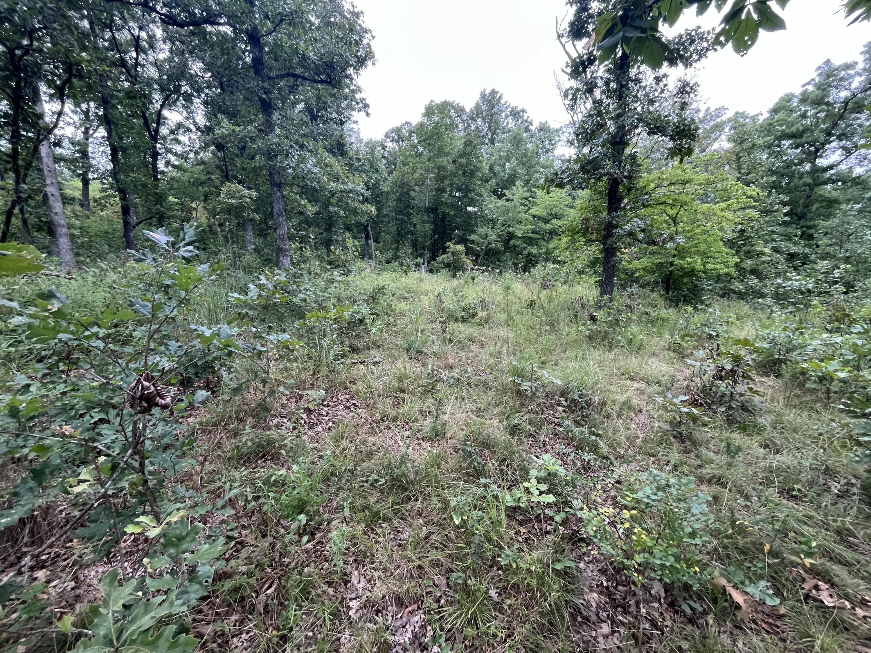000 Partridge Drive Property Photo 13